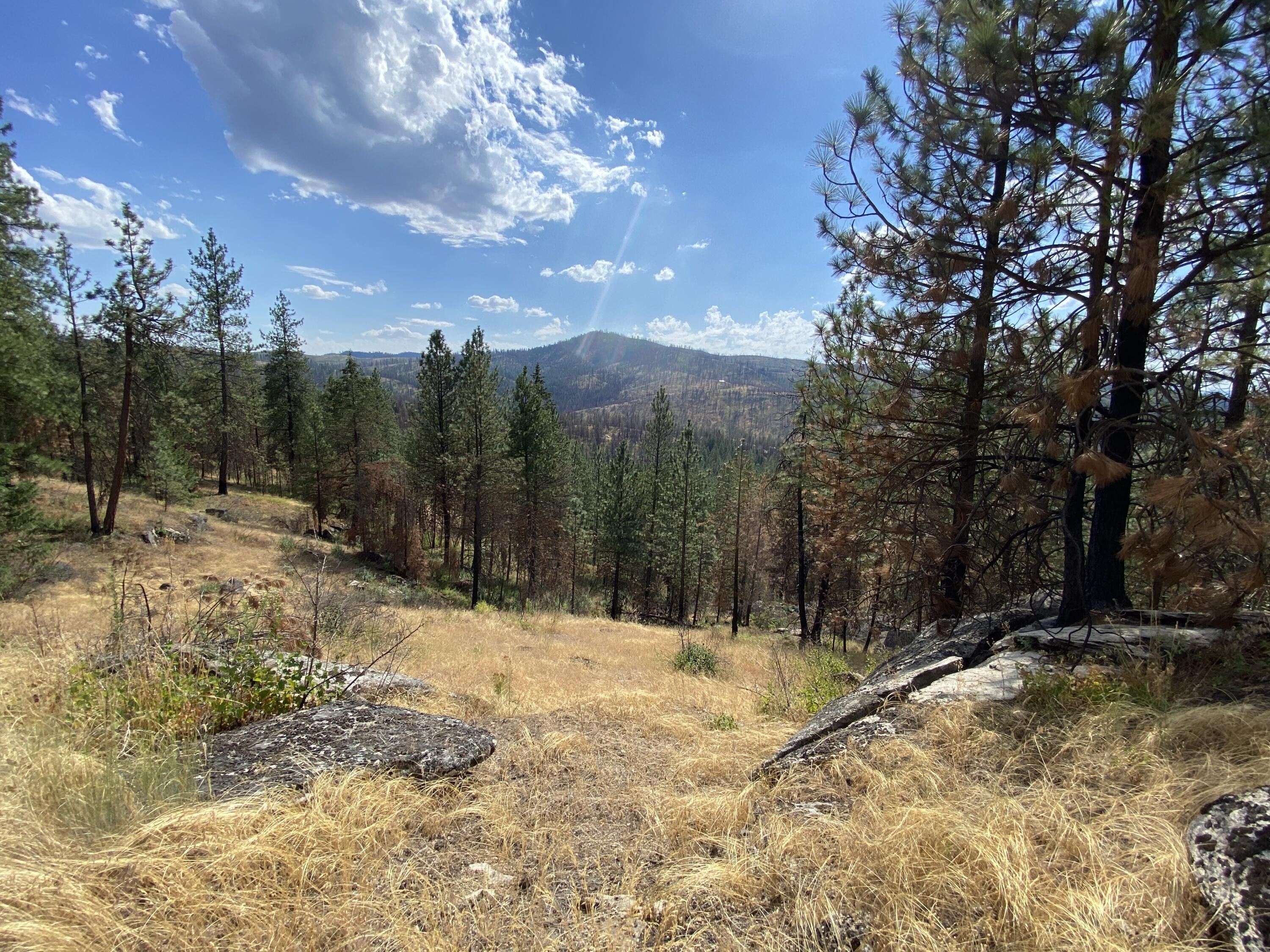 40 acres in Stevens County, Washington