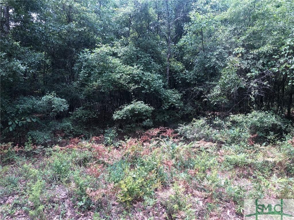 5 acres in Effingham County,
