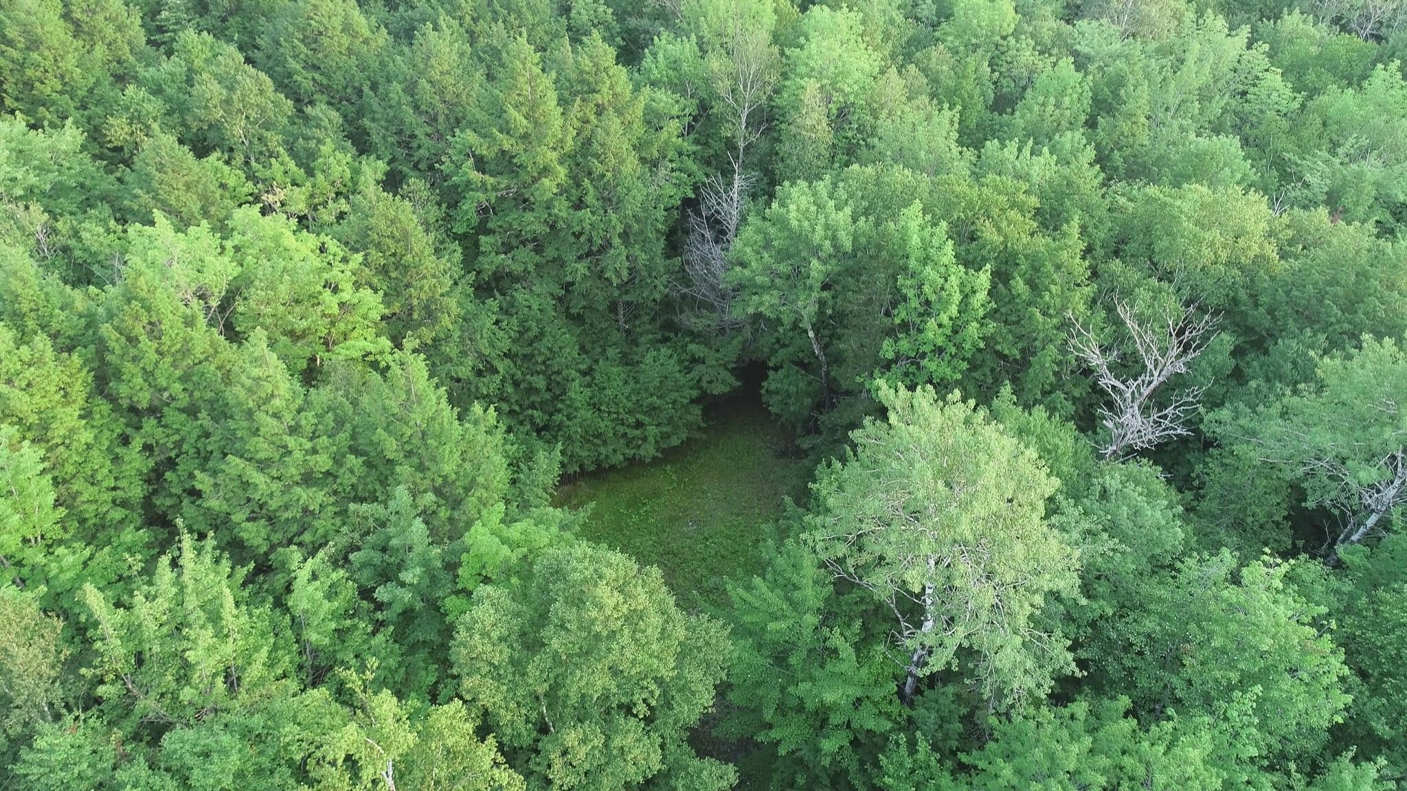 5 acres in Penobscot County, Maine