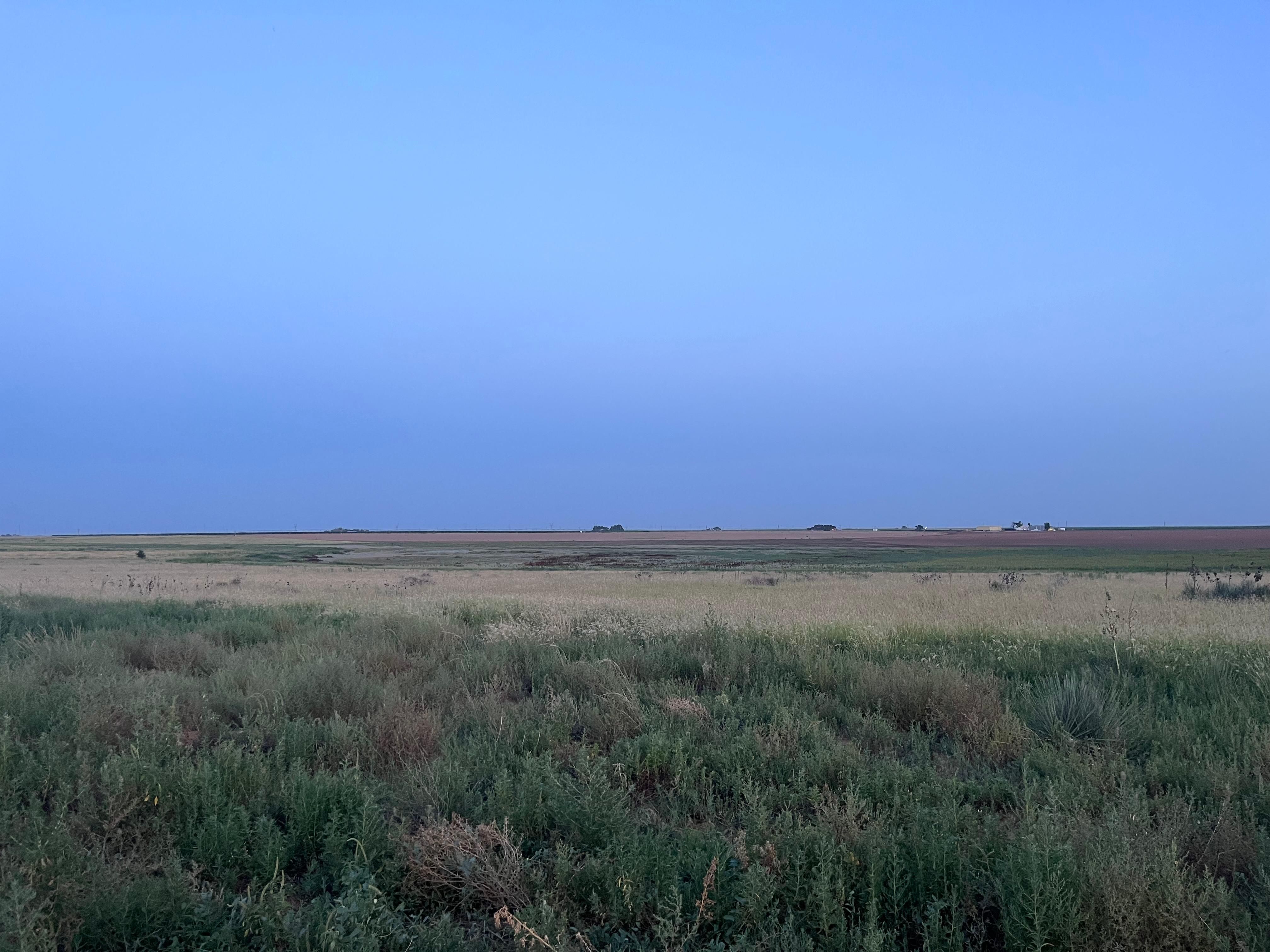 158 acres in Hale County, Texas