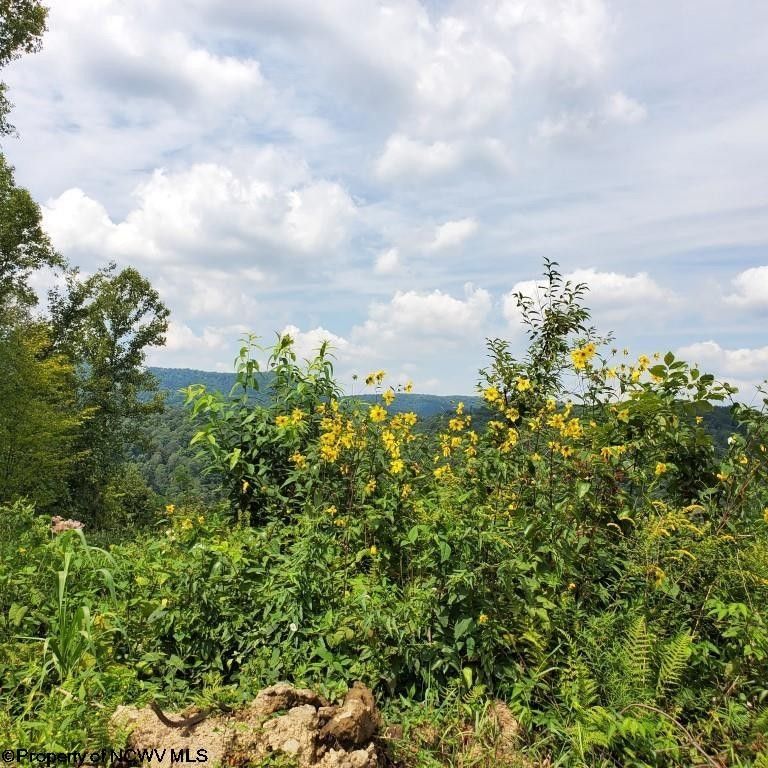 5 acres in Preston County, West Virginia