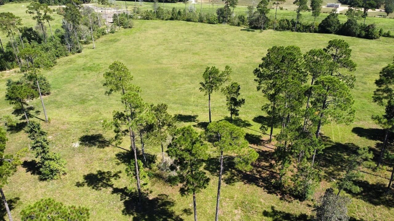 10 acres in Hardin County, Texas