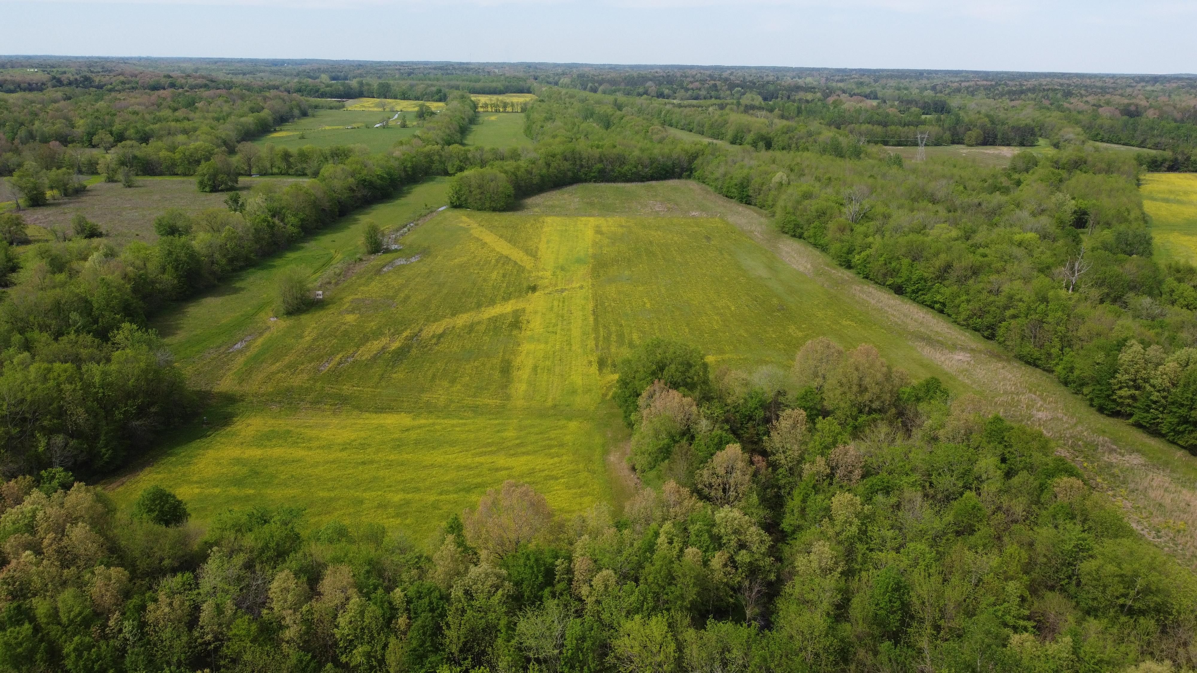 83 acres in Oktibbeha County, Mississippi
