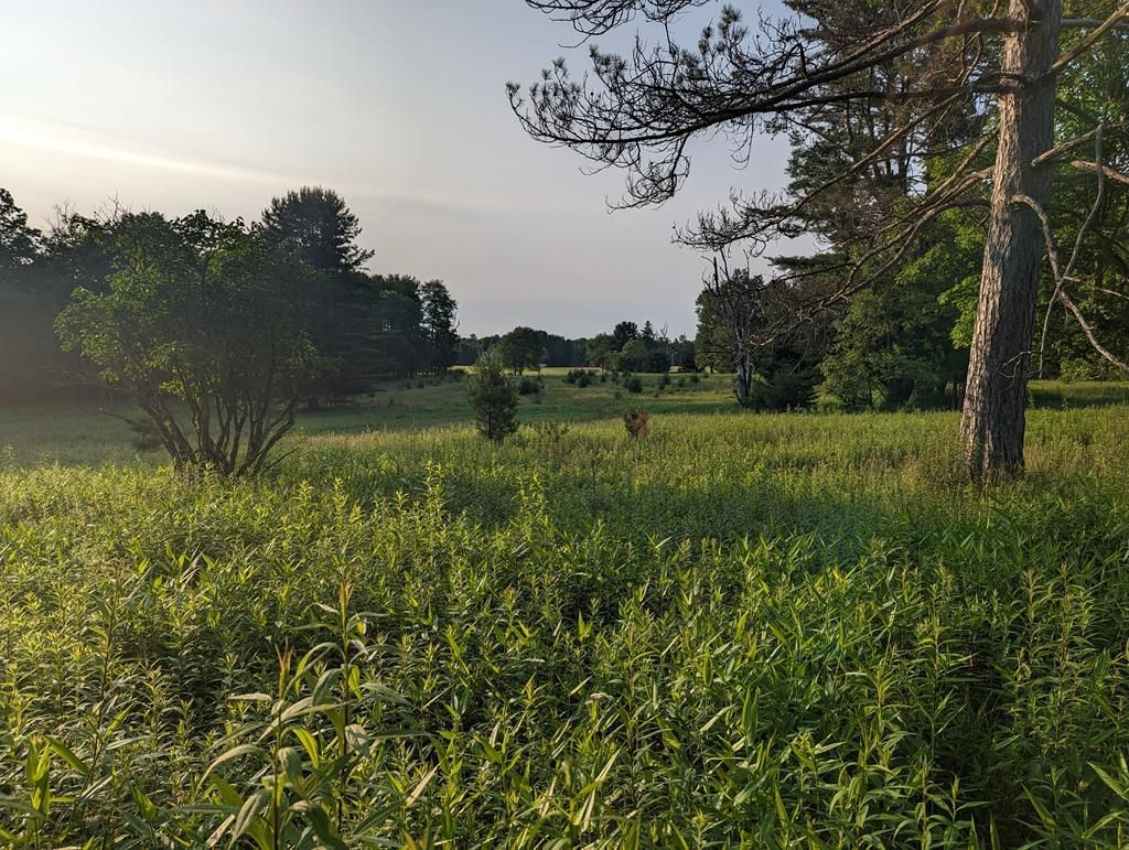 21 acres in Elk County, Pennsylvania