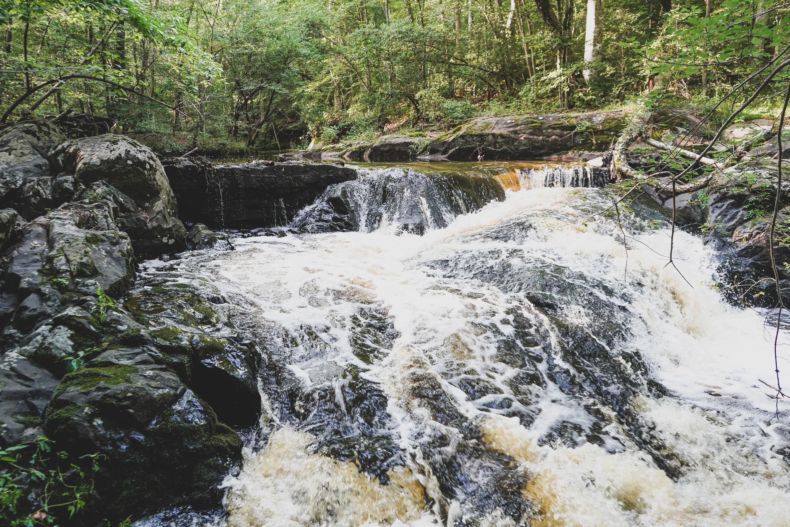 254 acres in Halifax County, North Carolina