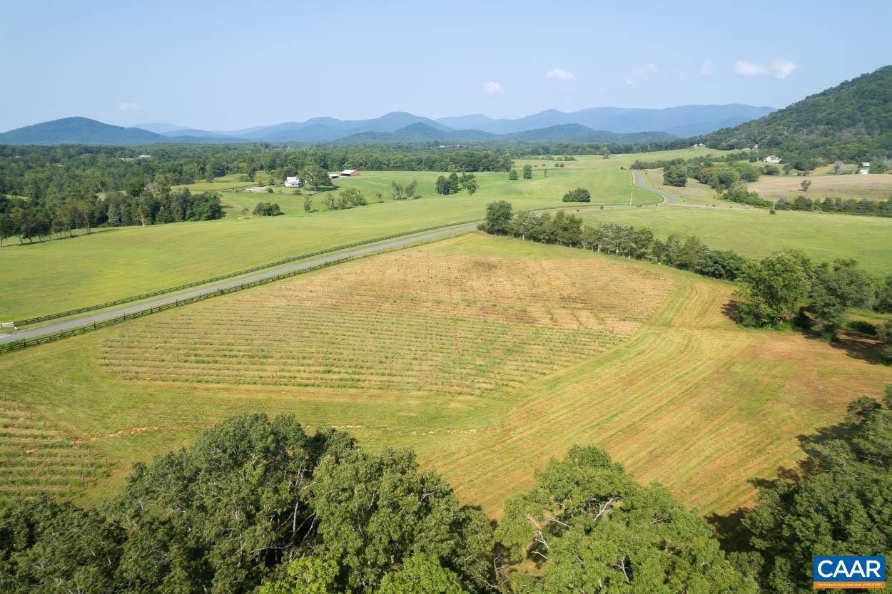 20 acres in Greene County, Virginia