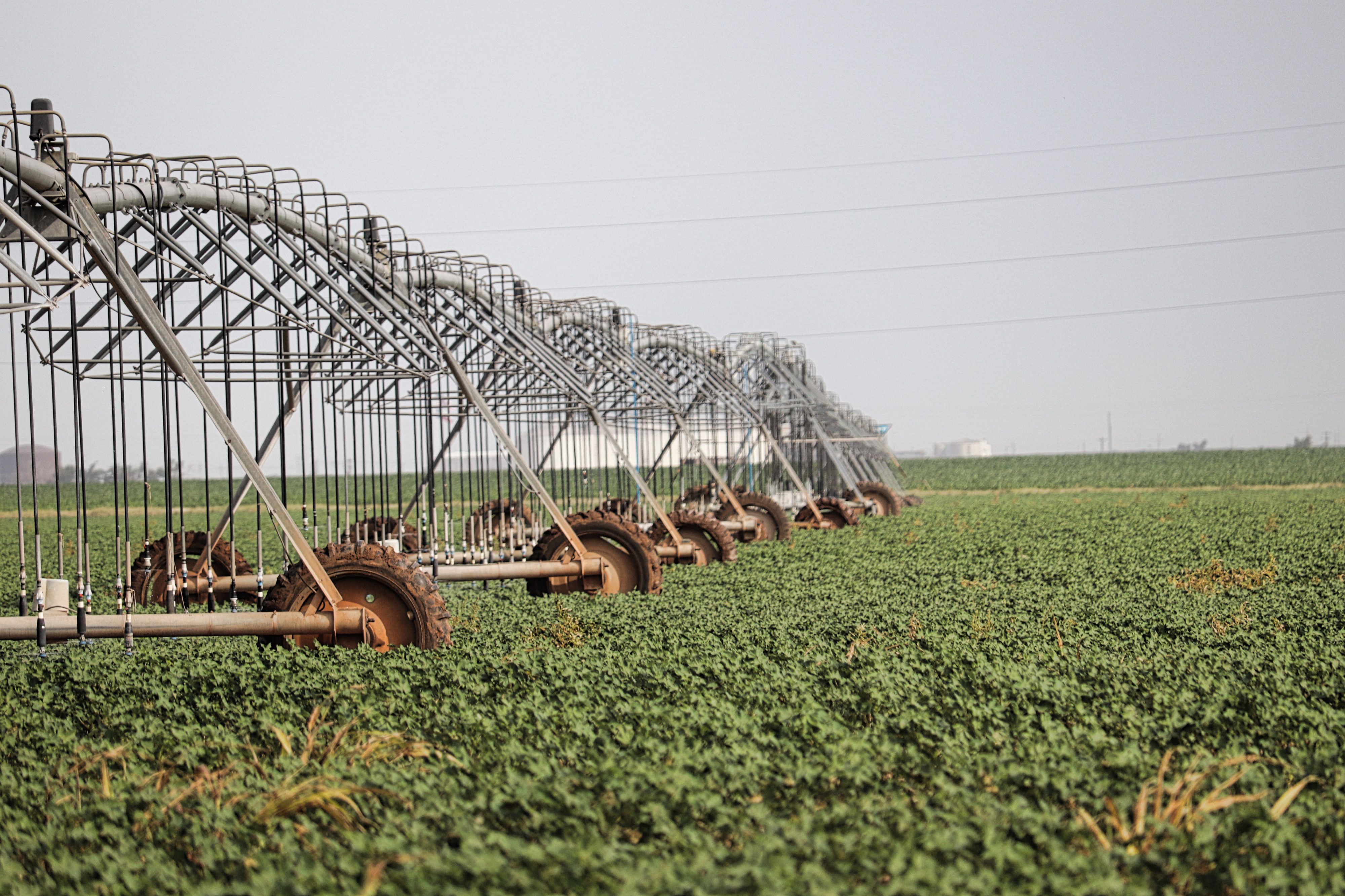 320 acres in Hale County, Texas