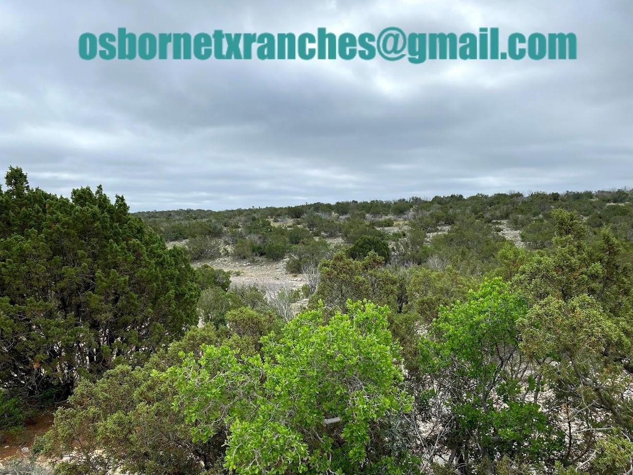 98.44 acres in Juno, TX, 78840