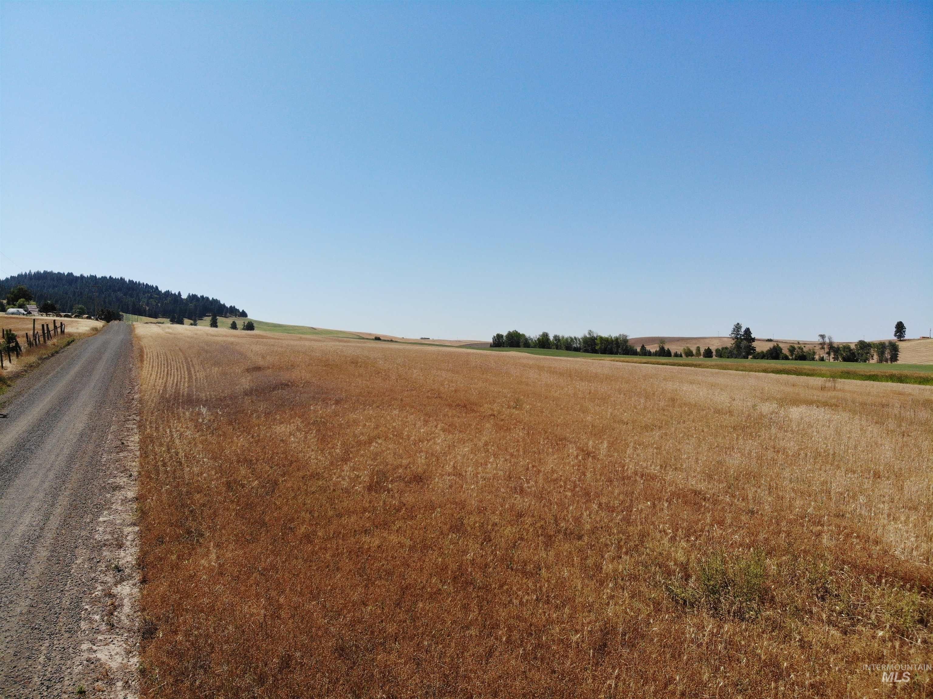 40 acres in Nez Perce County, Idaho