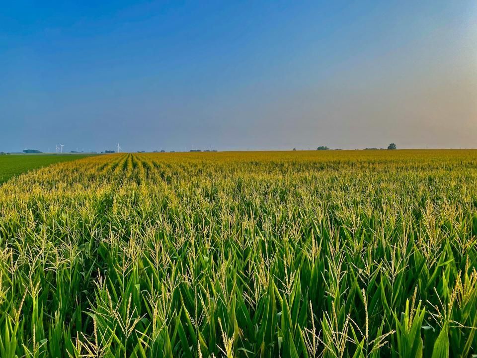 156 acres in ster County, Iowa