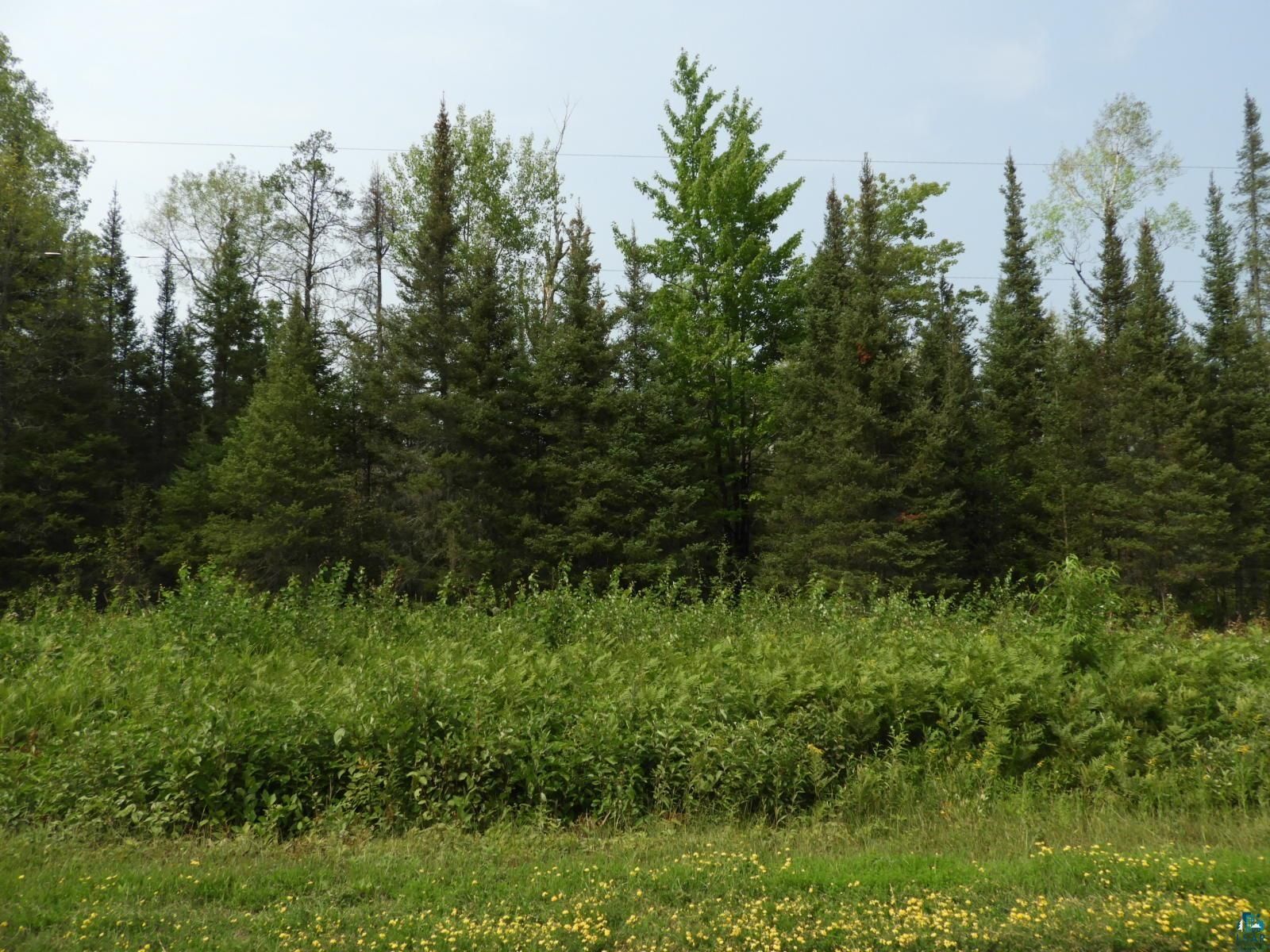 50 acres in Bayfield County, Wisconsin