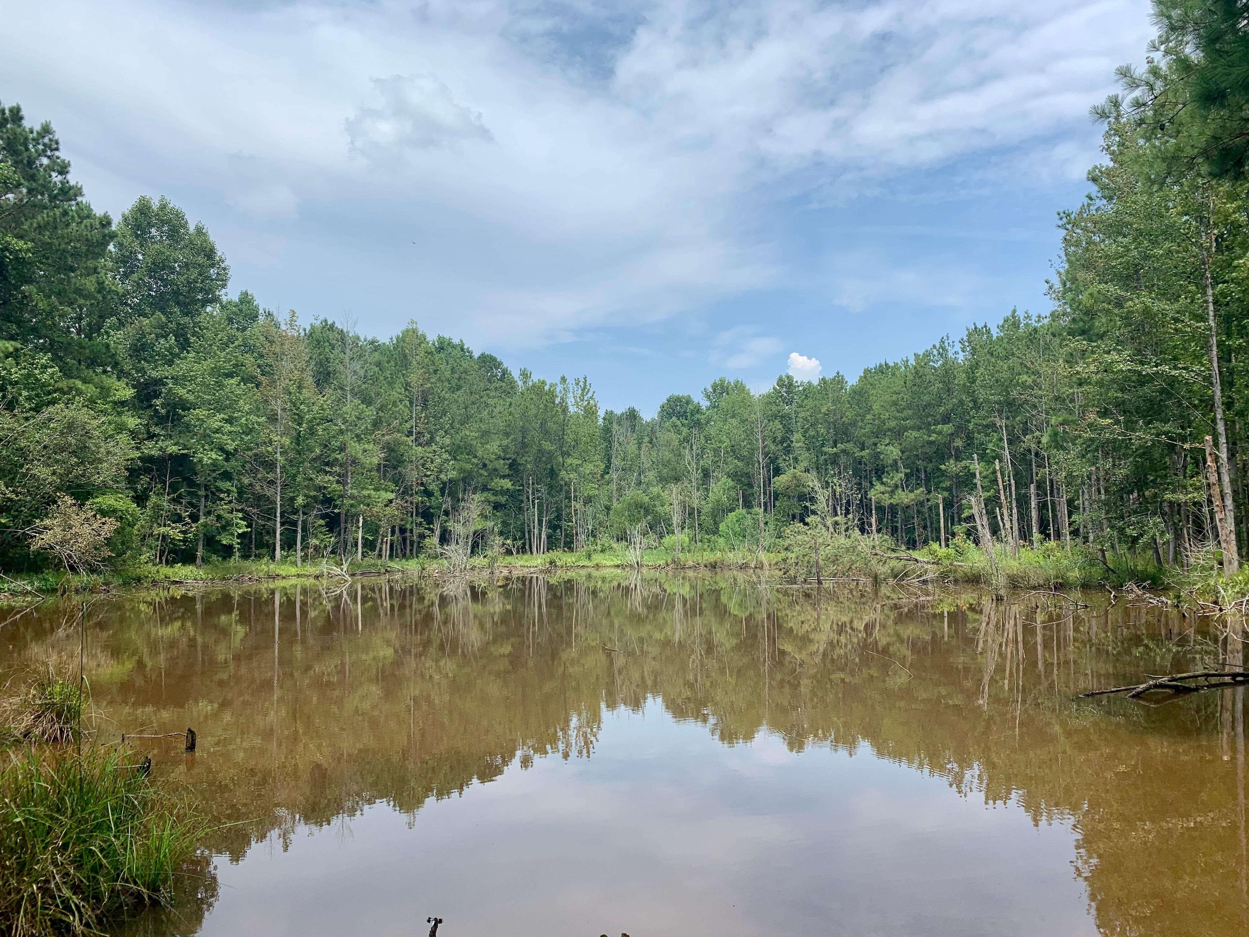 68 acres in Butler County, Alabama