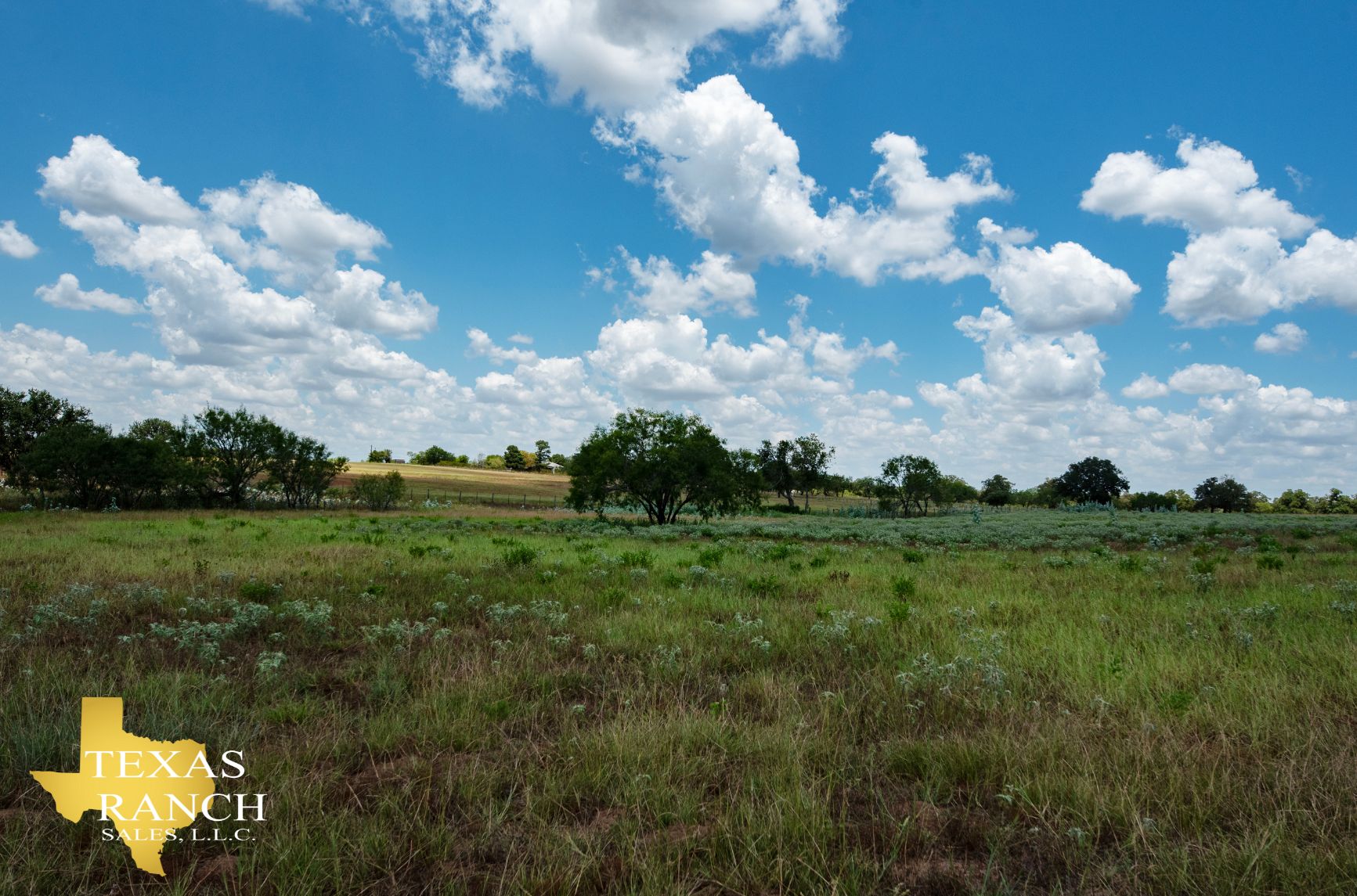 20 acres in Nixon, TX, 78140