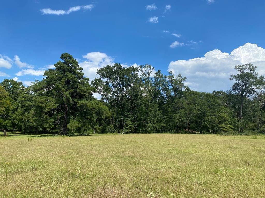 5 acres in Nacogdoches County, Texas
