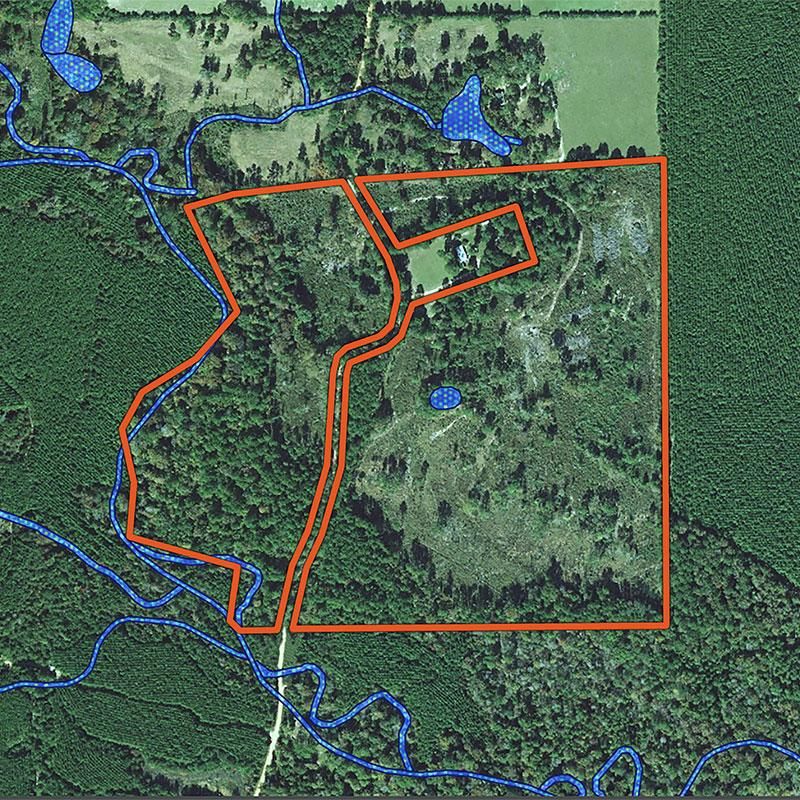 84 acres in Polk County, Texas