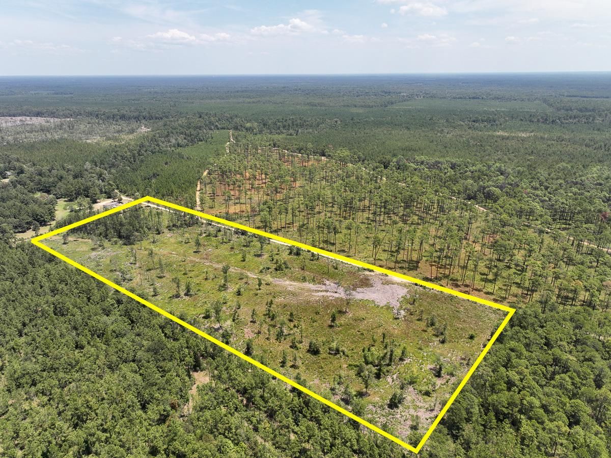20 acres in Newton County, Texas