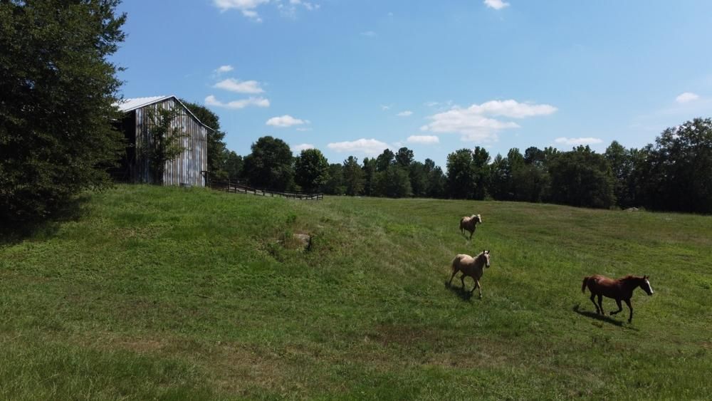 126 acres in Chambers County, Alabama