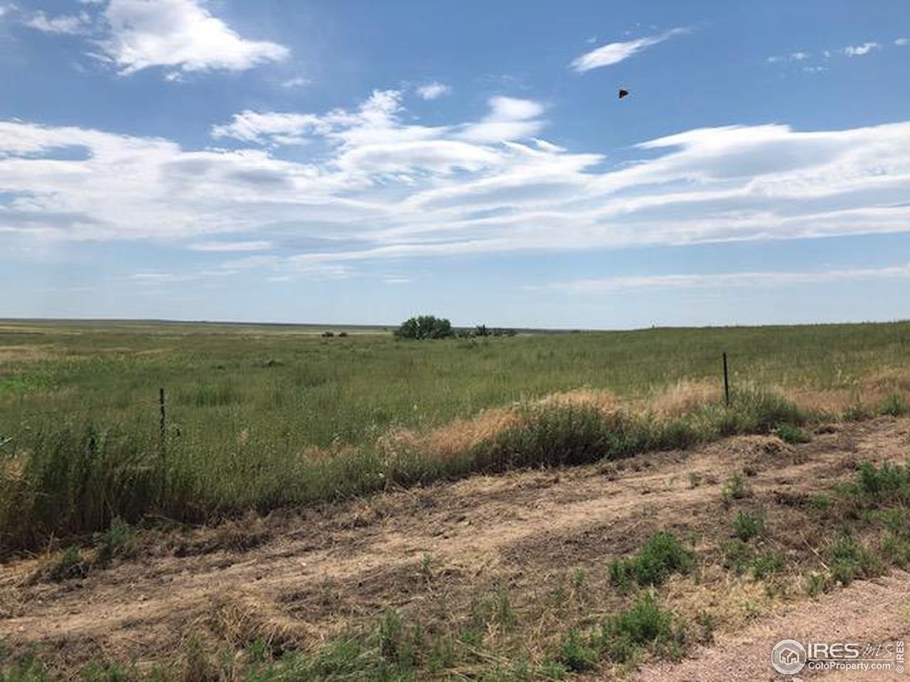 46 acres in Weld County, Colorado
