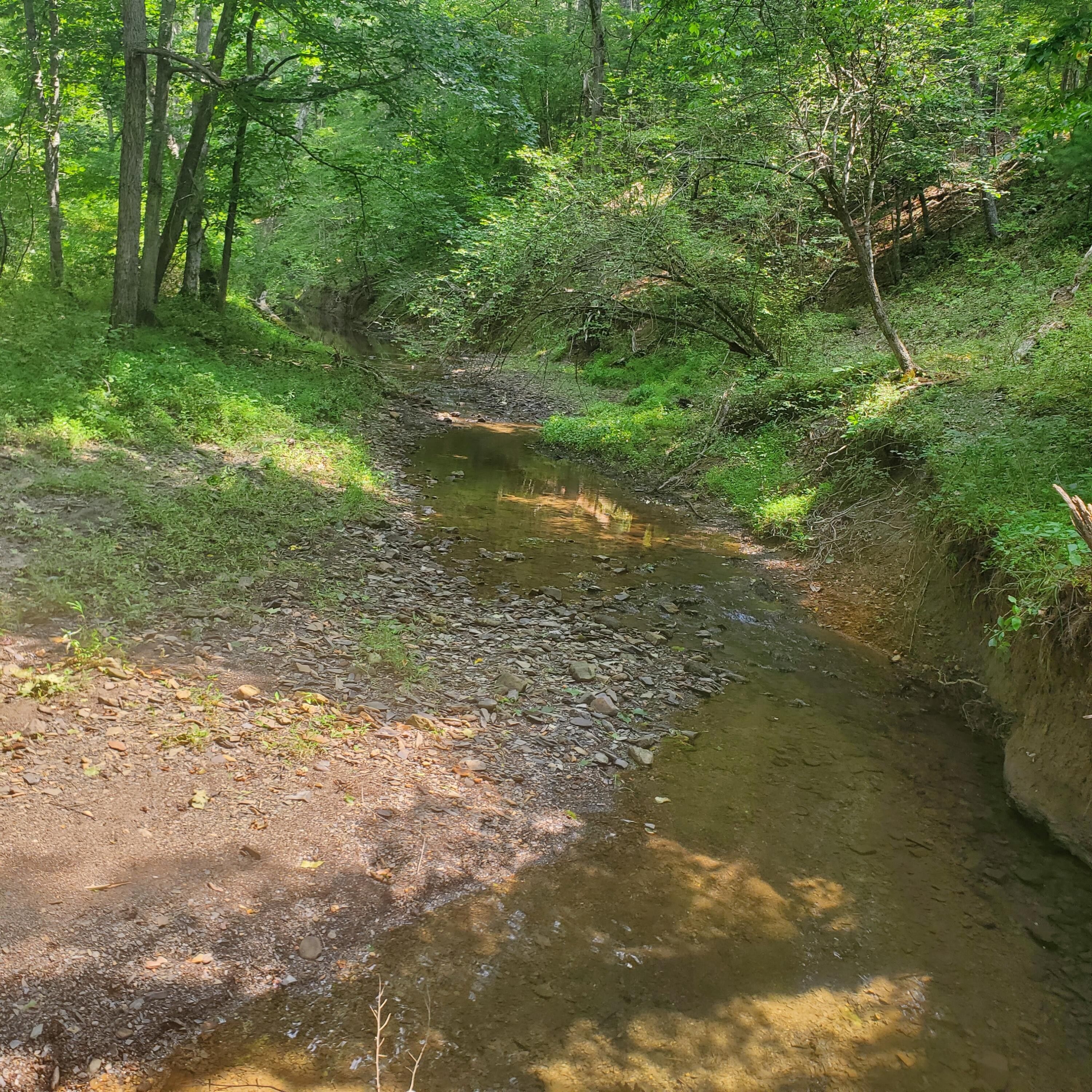 240 acres in Bath County, Virginia