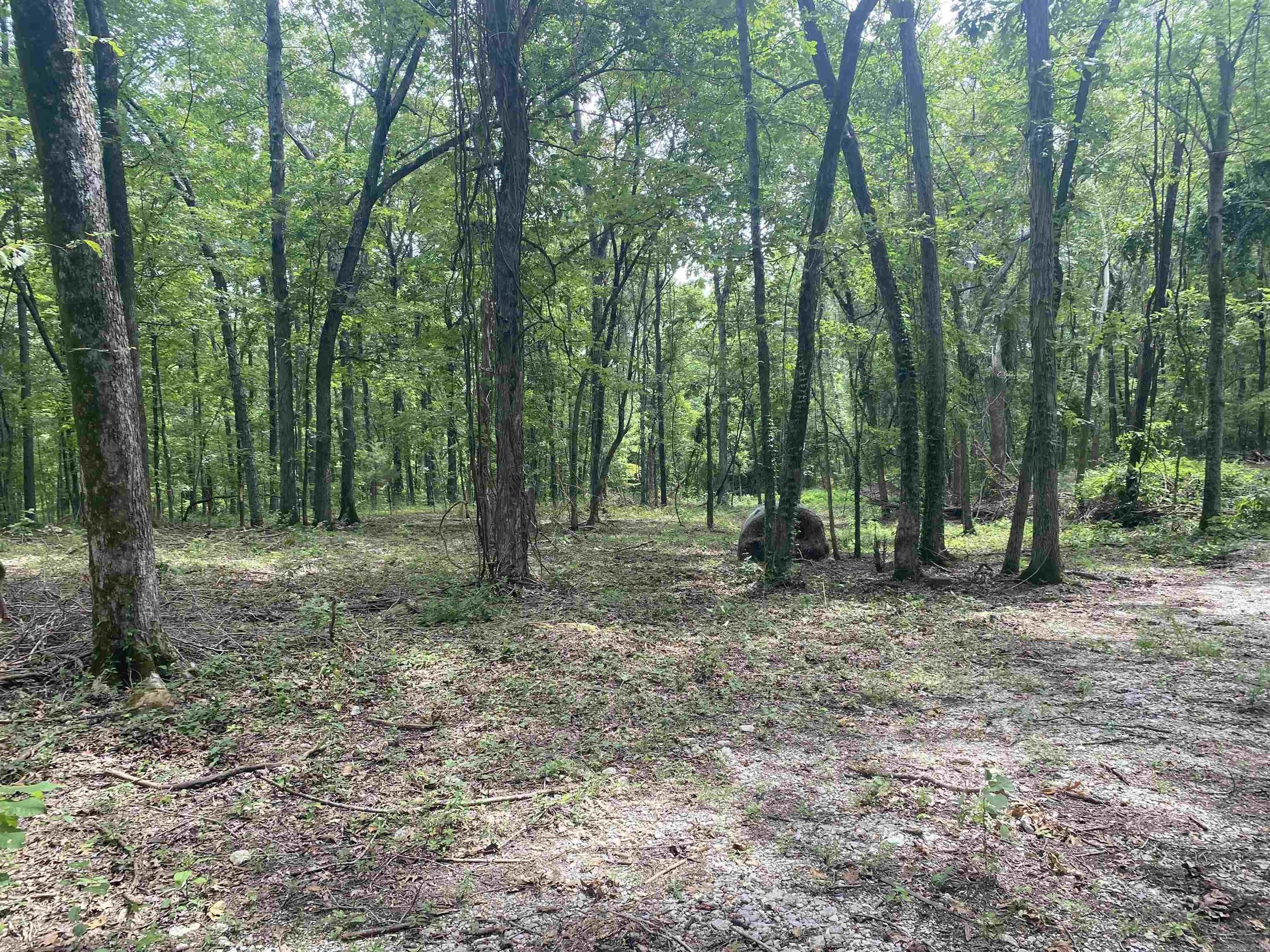 40 acres in Stone County, Arkansas