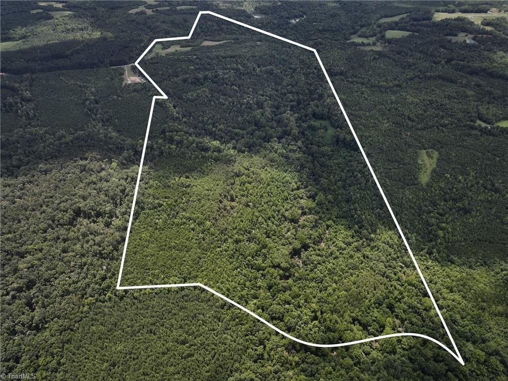 246.09 acres in Caswell County, North Carolina