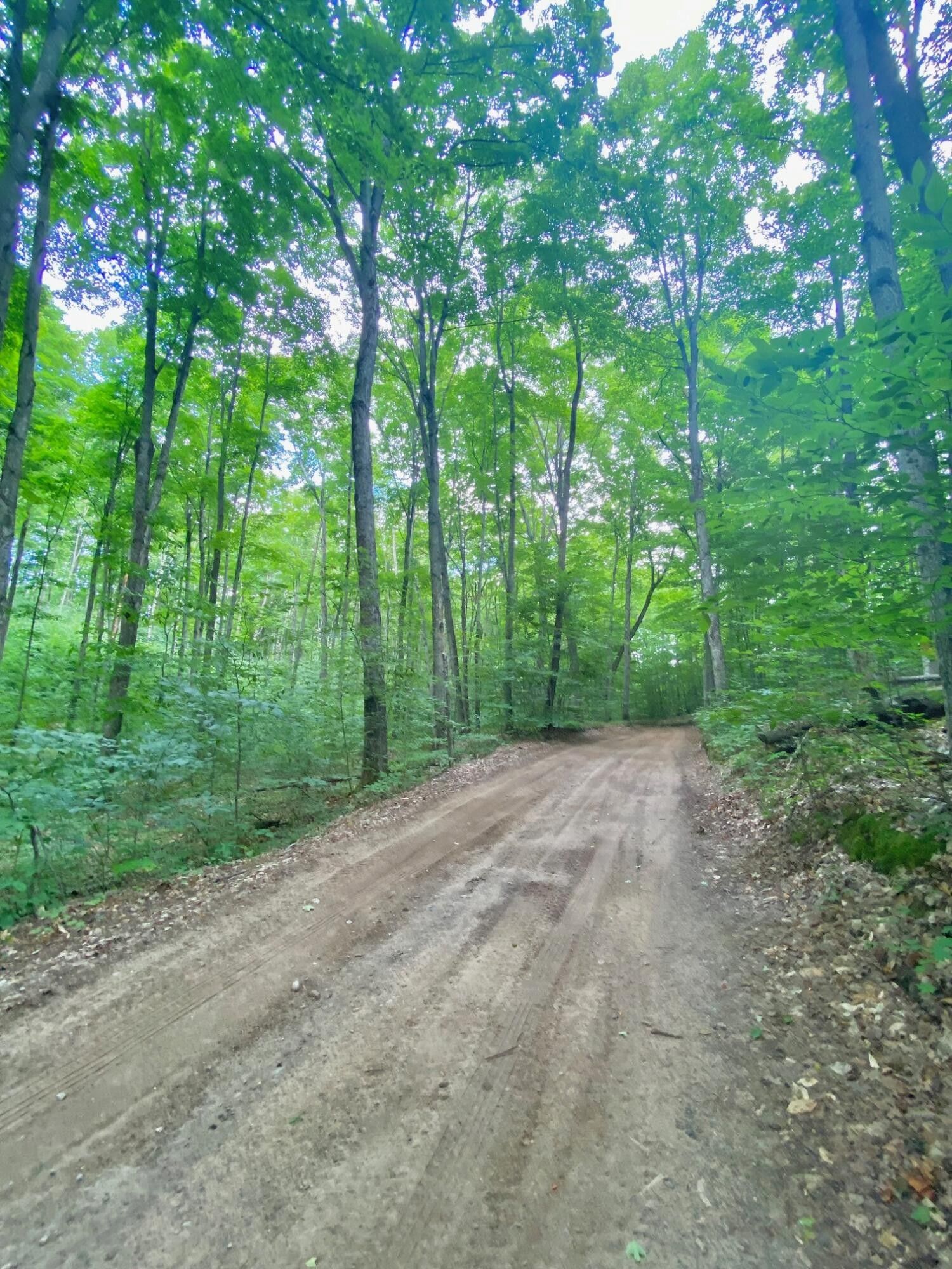 80 acres in Emmet County, Michigan