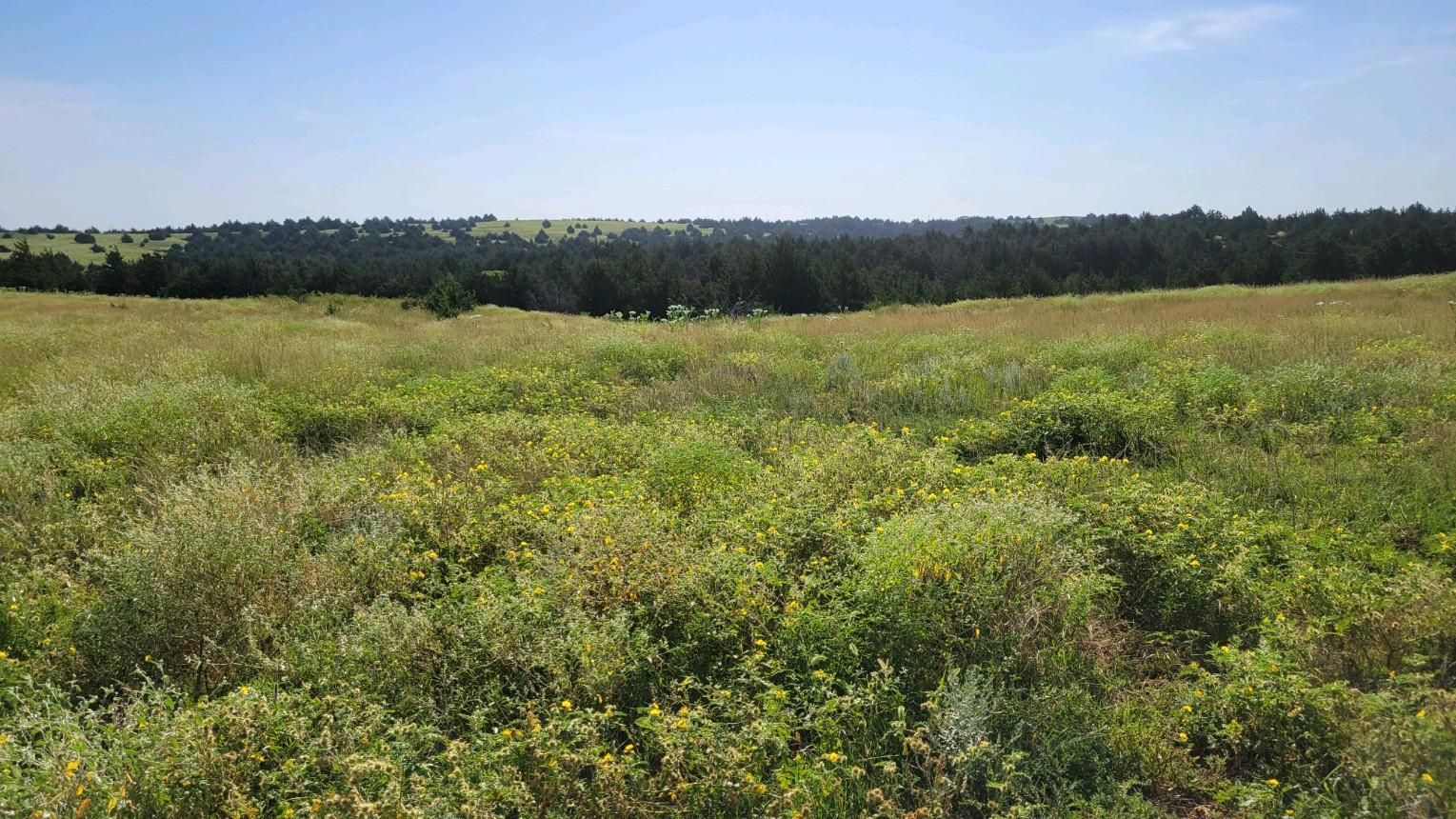 349 acres in Barber County, Kansas