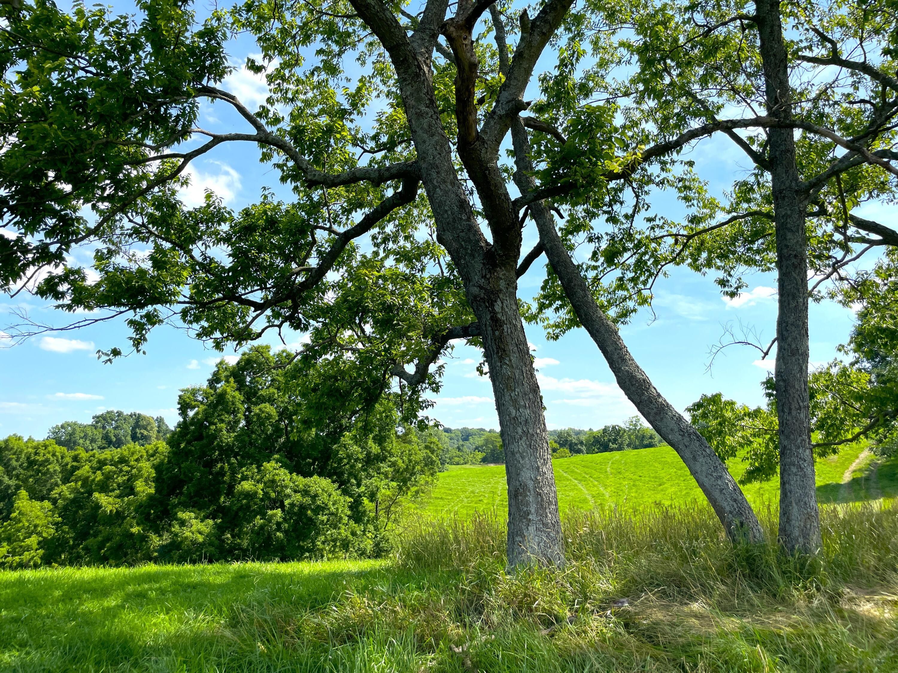 12.88 acres in Scott County, Kentucky