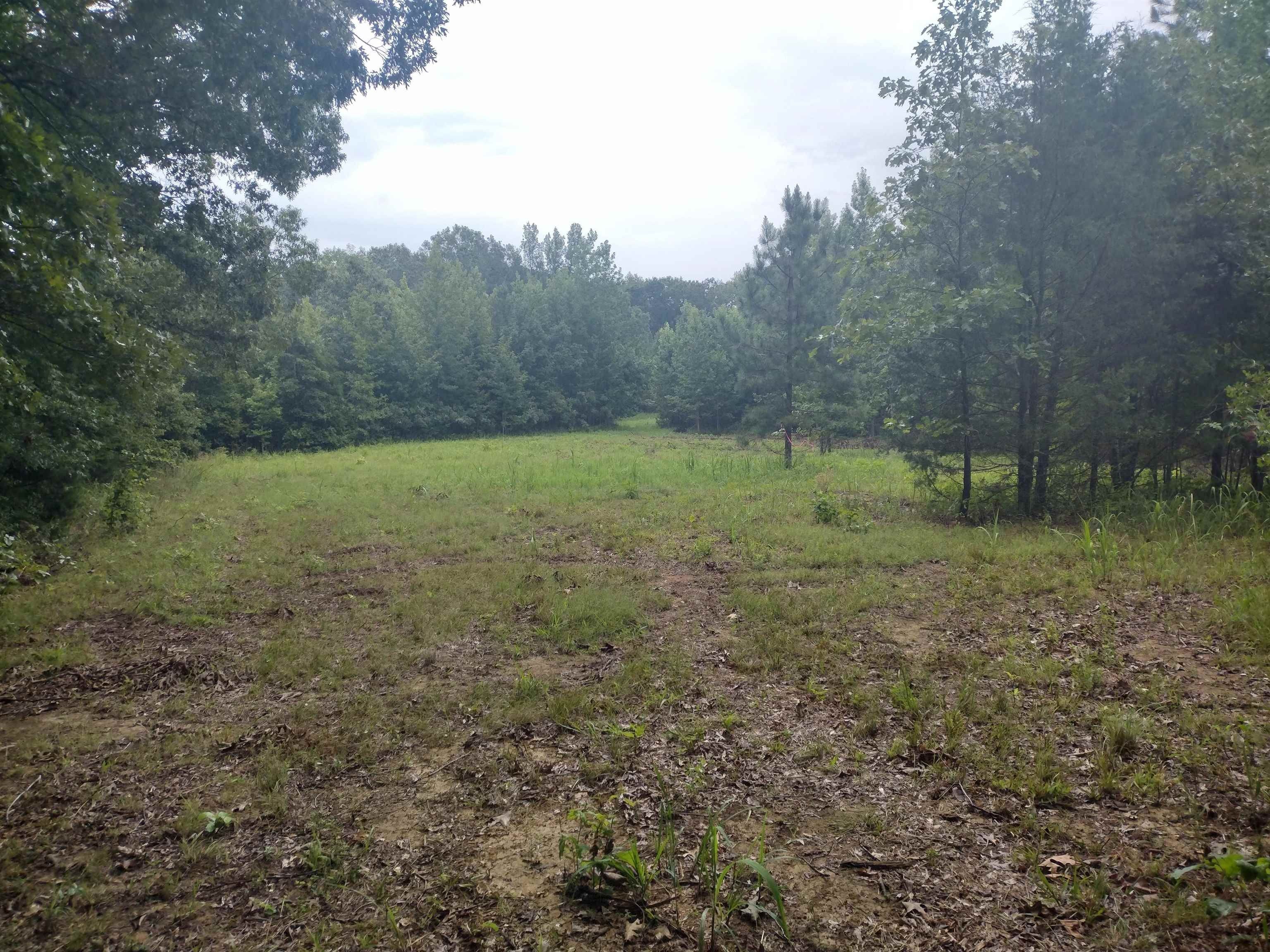 15 acres in Hardin County, Tennessee
