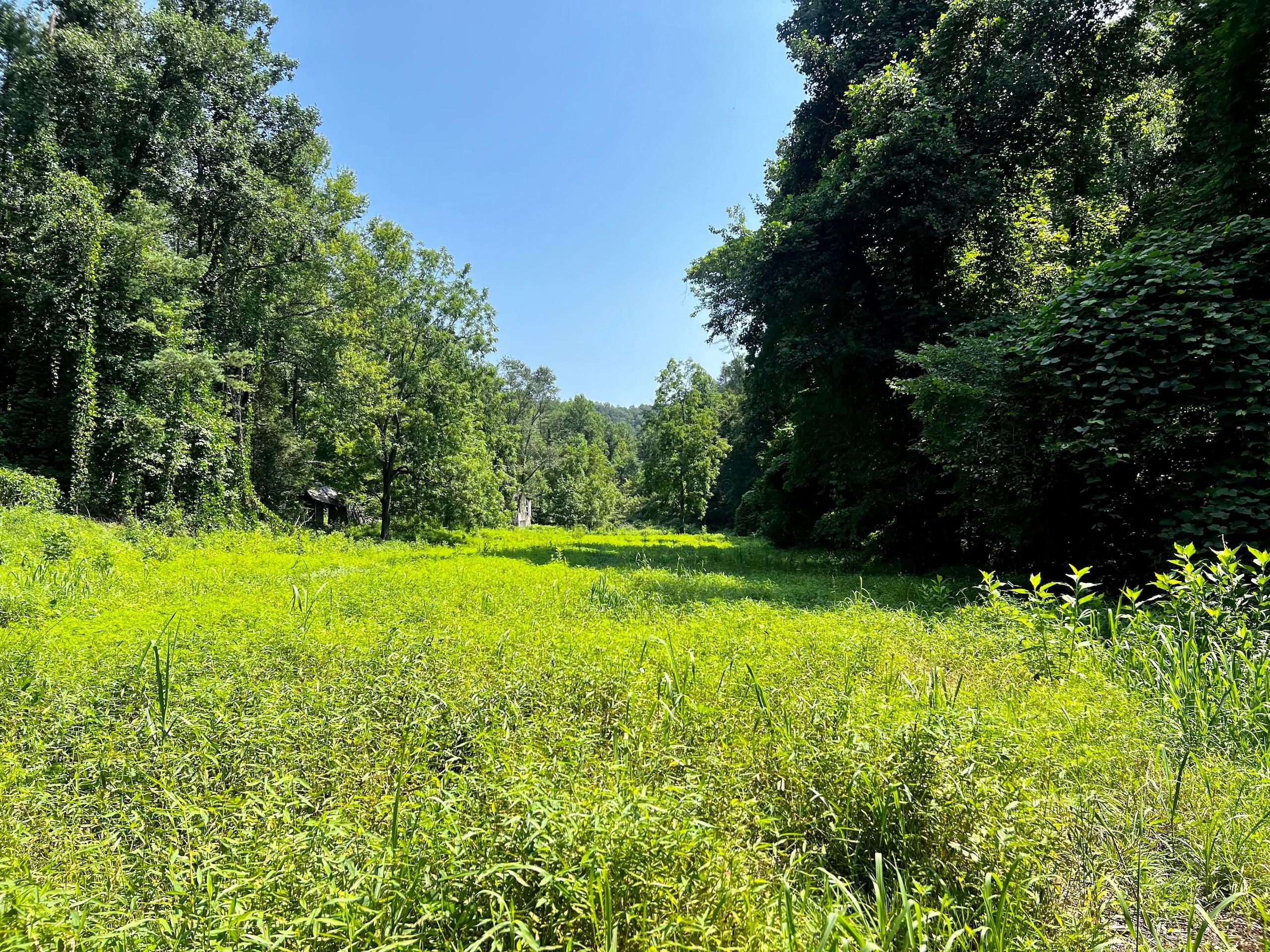 61 acres in Cocke County, Tennessee