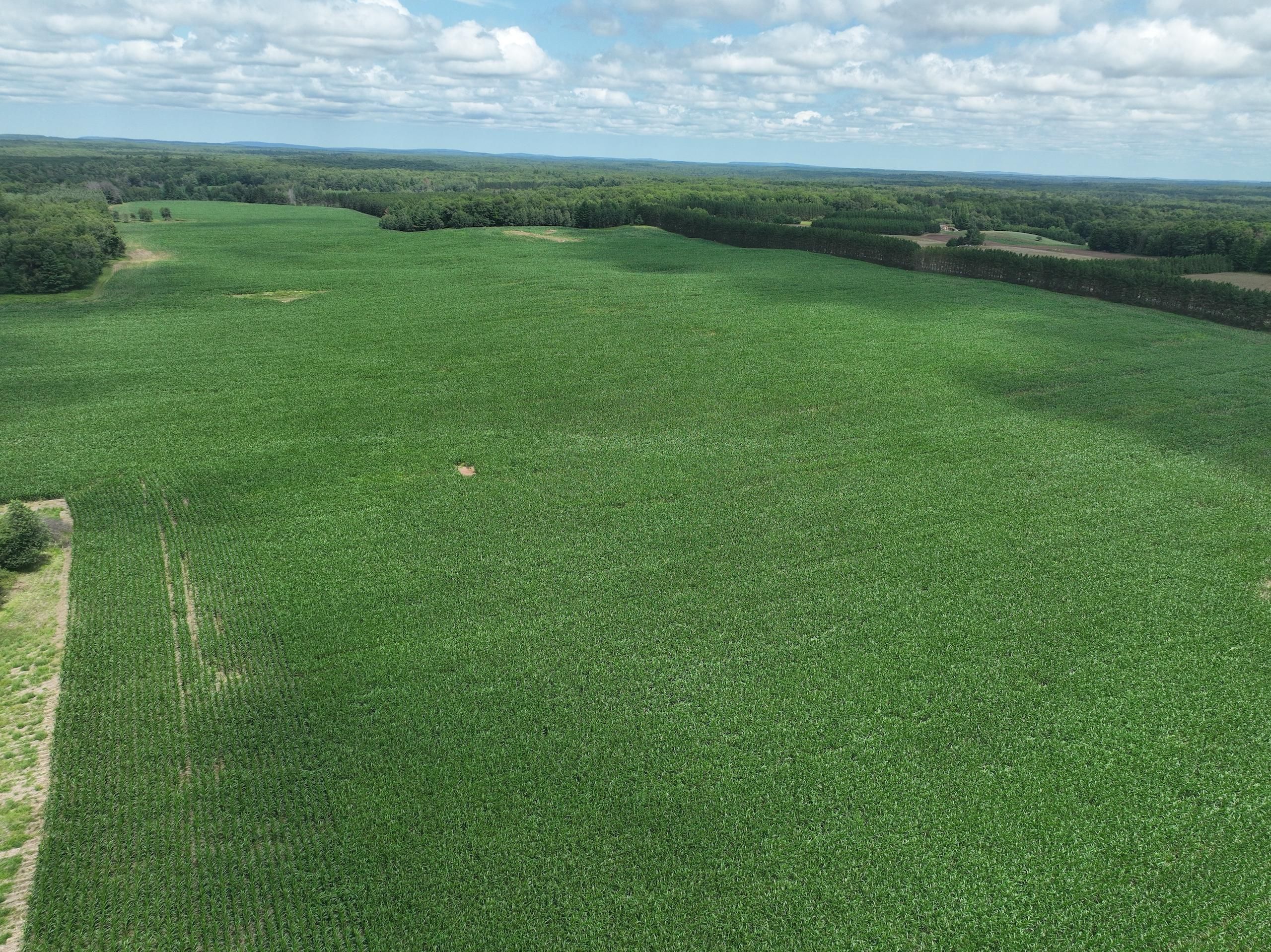 76.31 acres in County, Wisconsin
