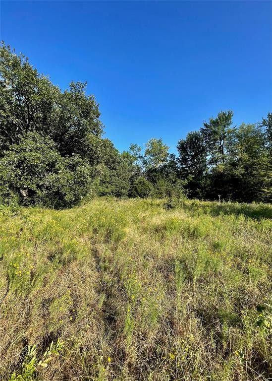 15 acres in Delta County, Texas