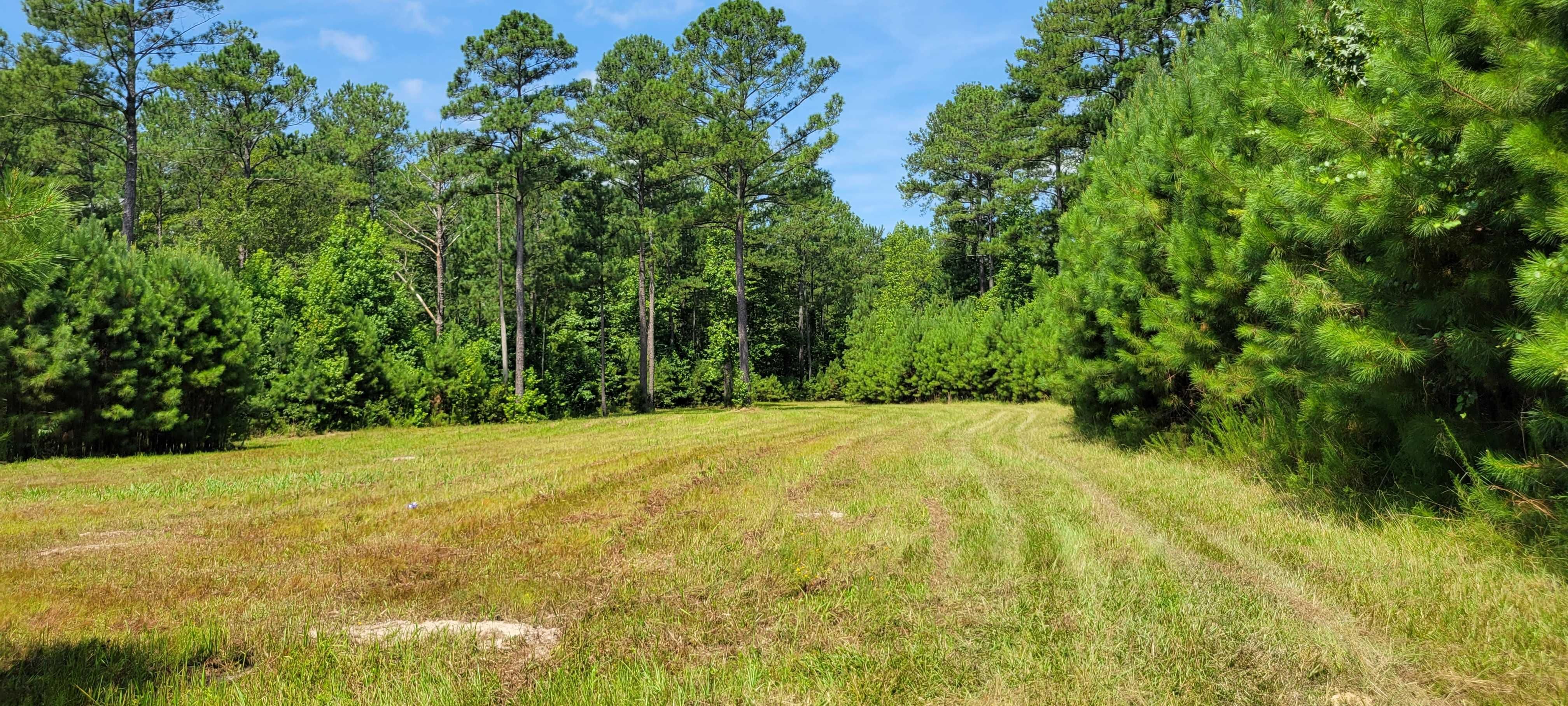 567 acres in Tuskegee, AL, 36083 MLS Macon 567