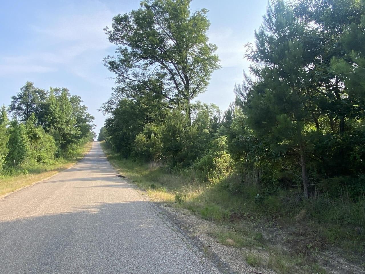 40 acres in Lafayette County, Arkansas