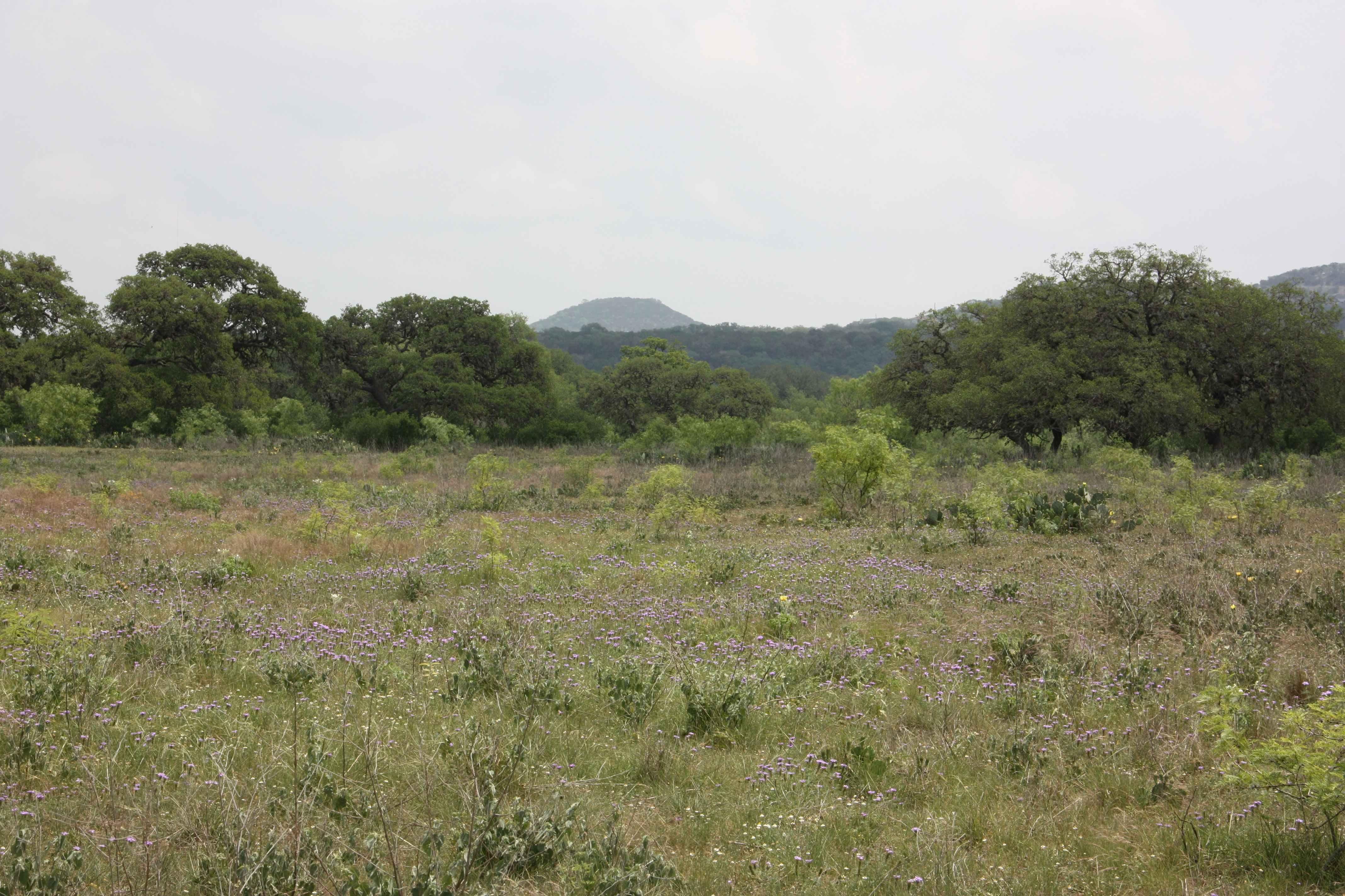 100 acres in Bandera, TX, 78003