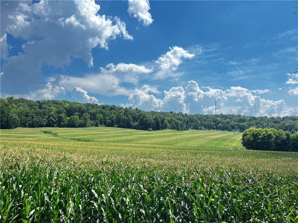 78 acres in Dunn County, Wisconsin