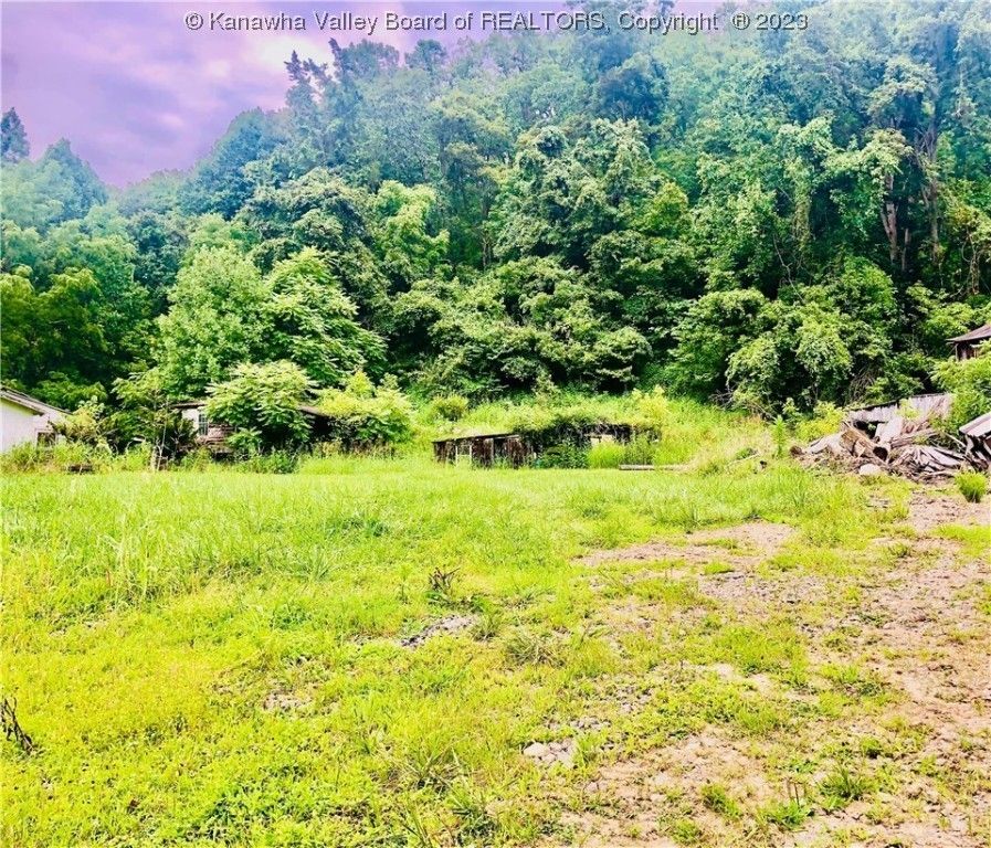 24 acres in Wayne County, West Virginia