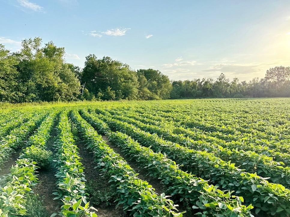 34 acres in Vernon County, Missouri