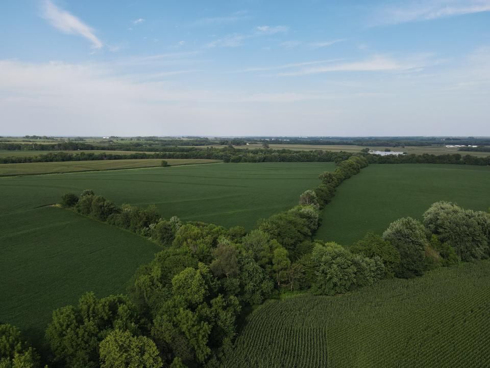 242 acres in Lafayette County, Missouri