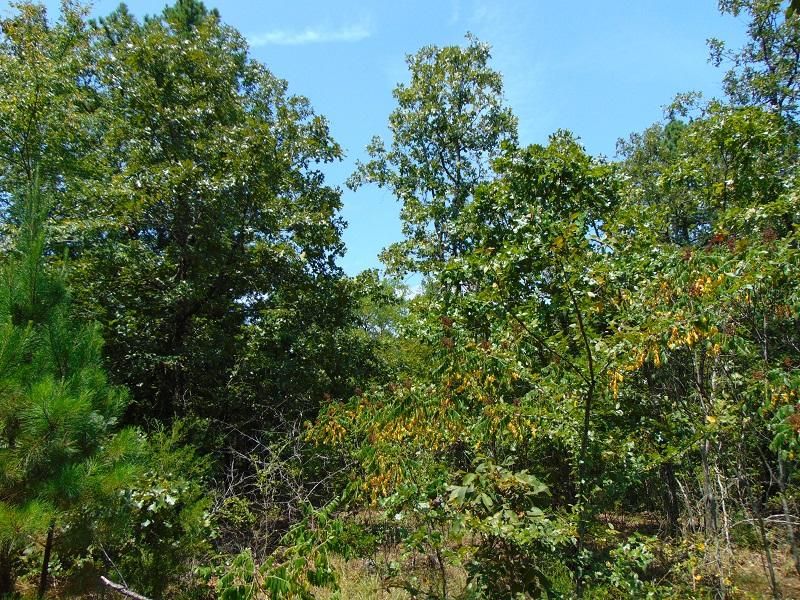 9.54 acres in Le Flore County, Oklahoma