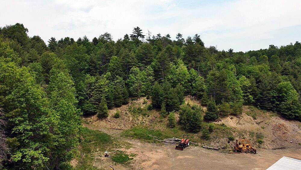 4.5 acres in Pocahontas County, West Virginia