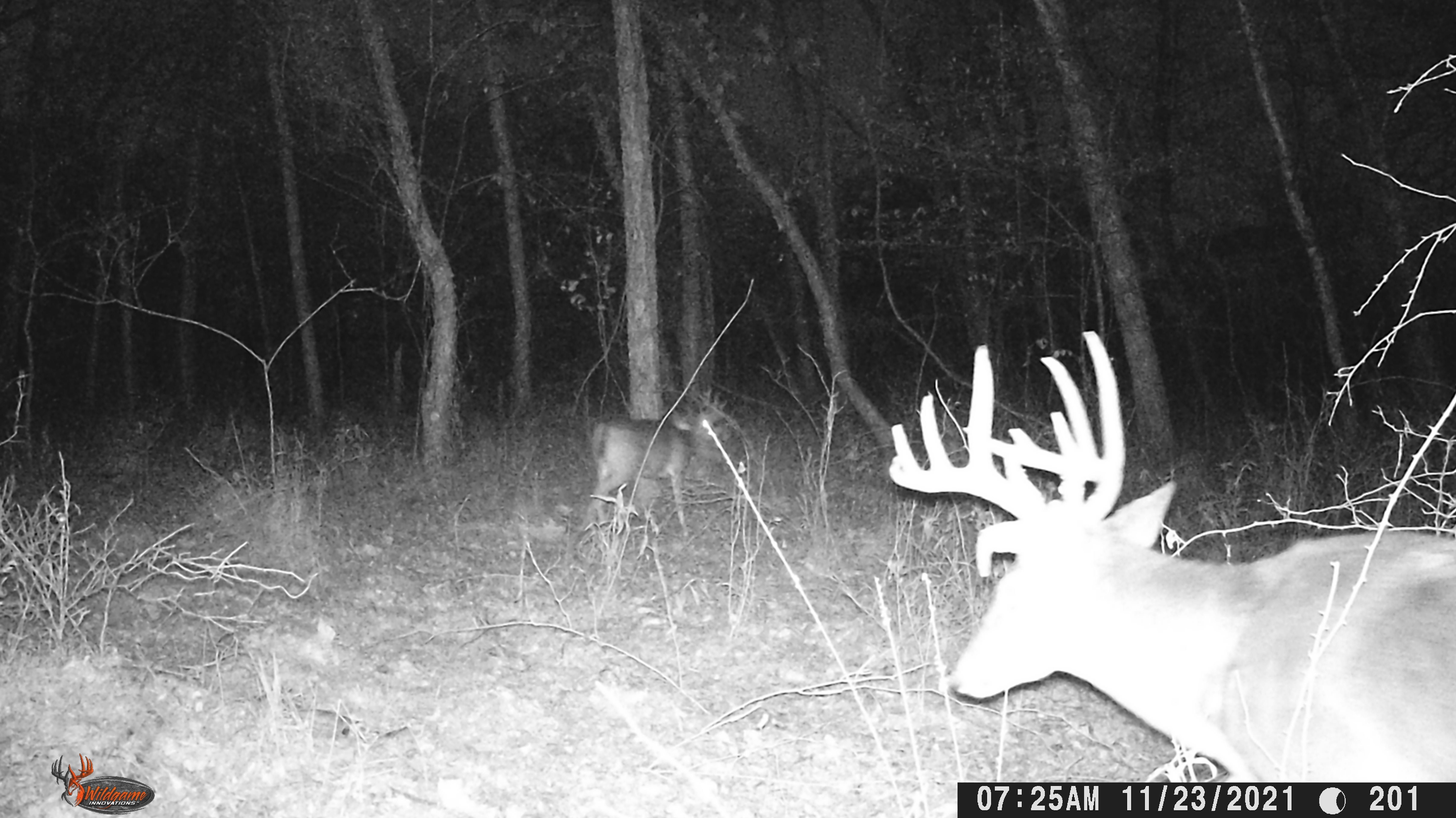 160 acres in Soper, OK, 74759