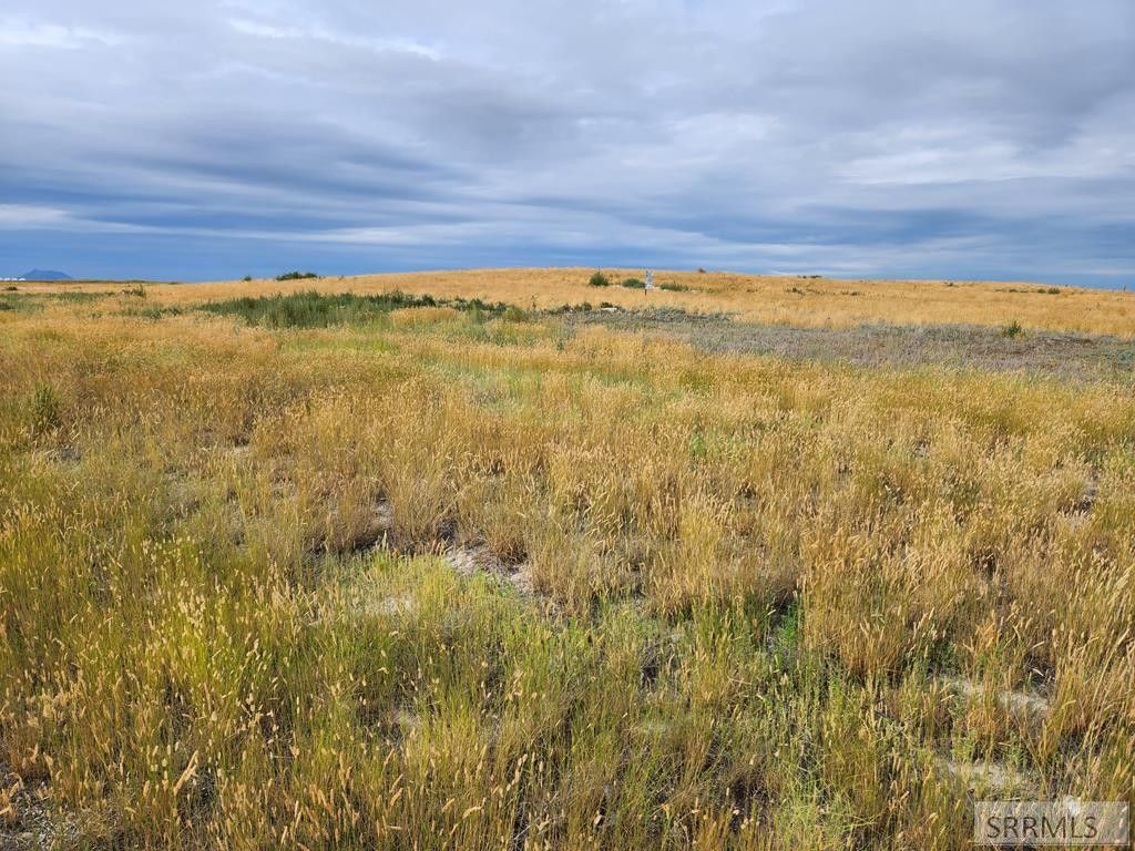 7.81 acres in Bingham County, Idaho