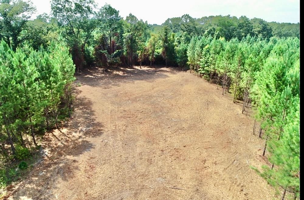 12 acres in Taylor County,