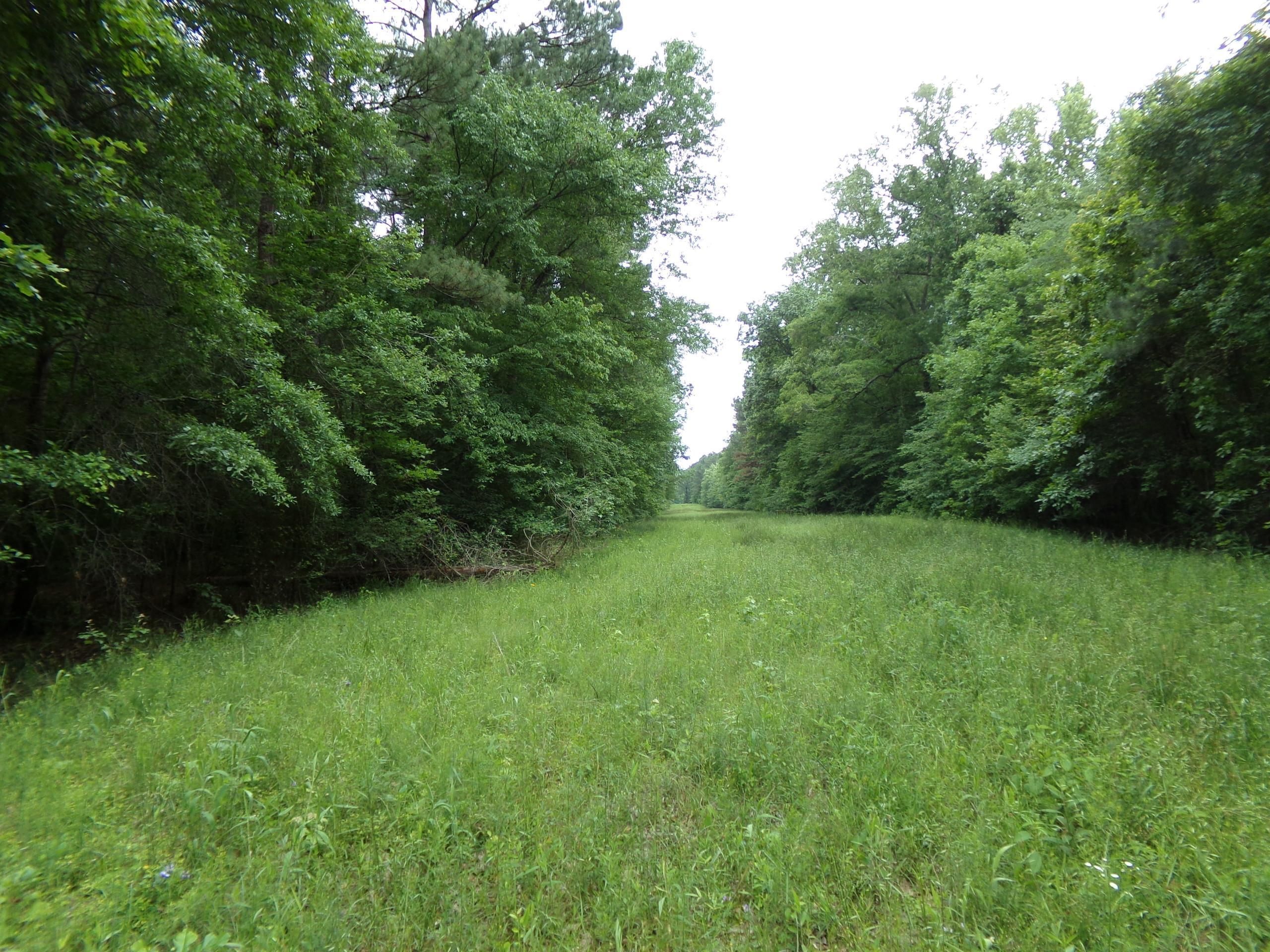 28 acres in ster Parish, Louisiana