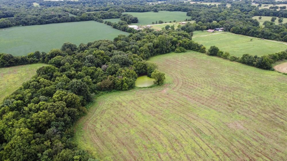 40 acres in Delaware County, Oklahoma