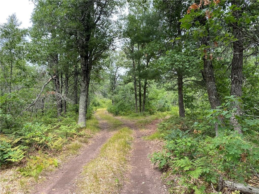 5 acres in Washburn County, Wisconsin