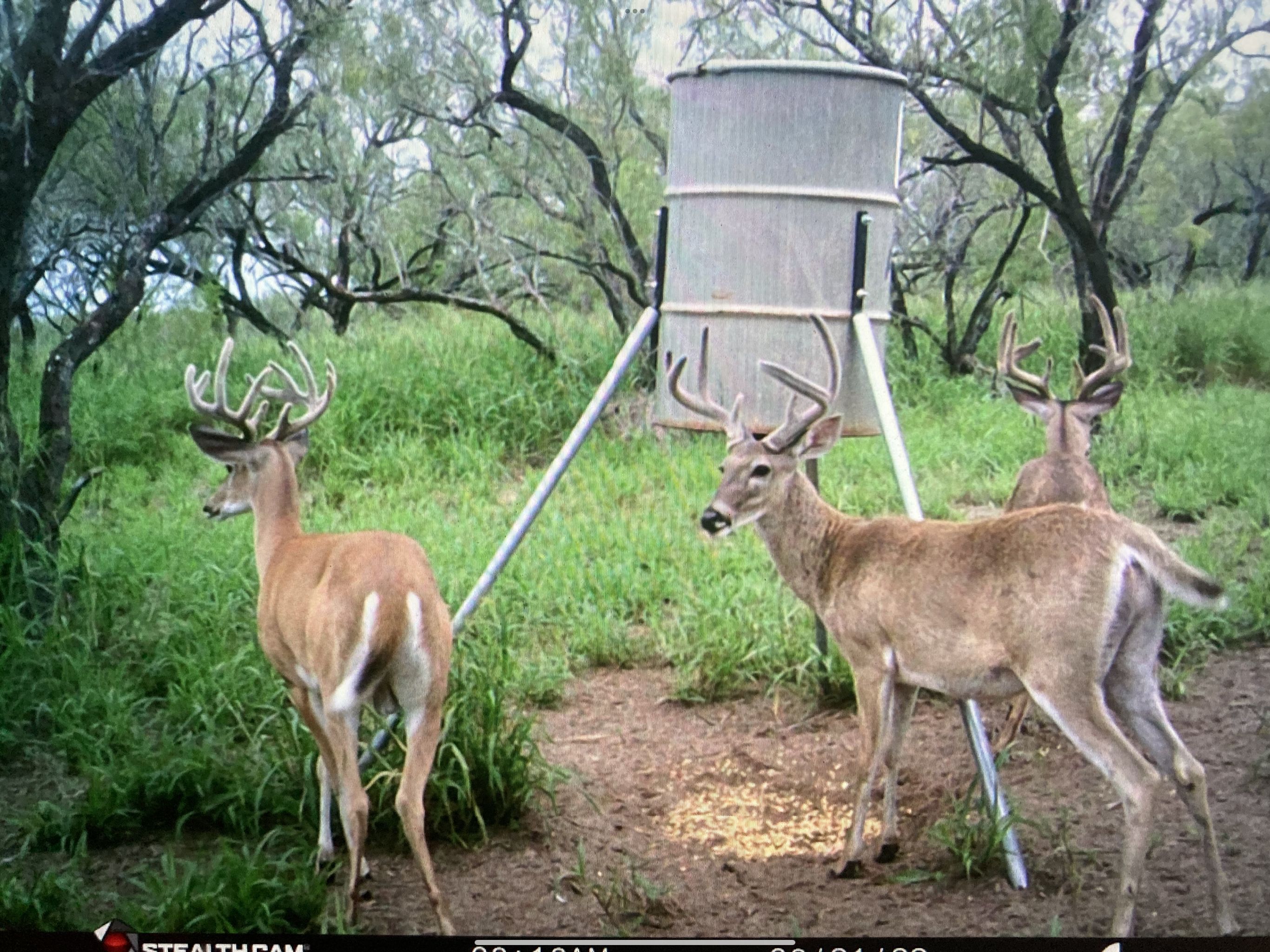 23.41 acres in Brooks County, Texas