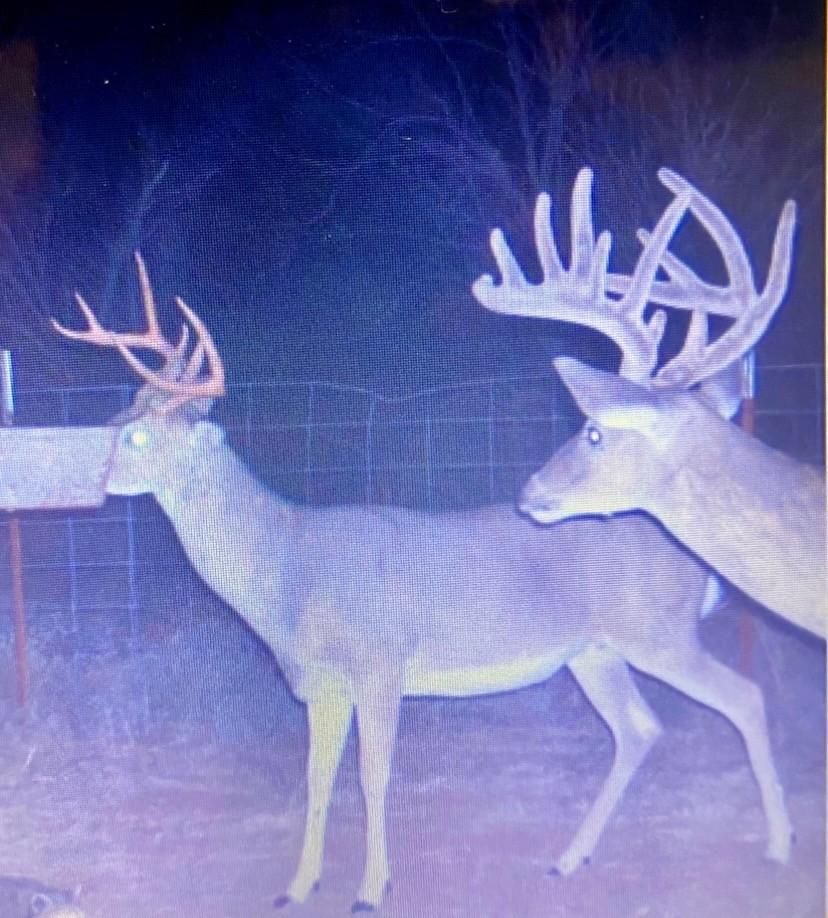 787 acres in Hall County, Texas