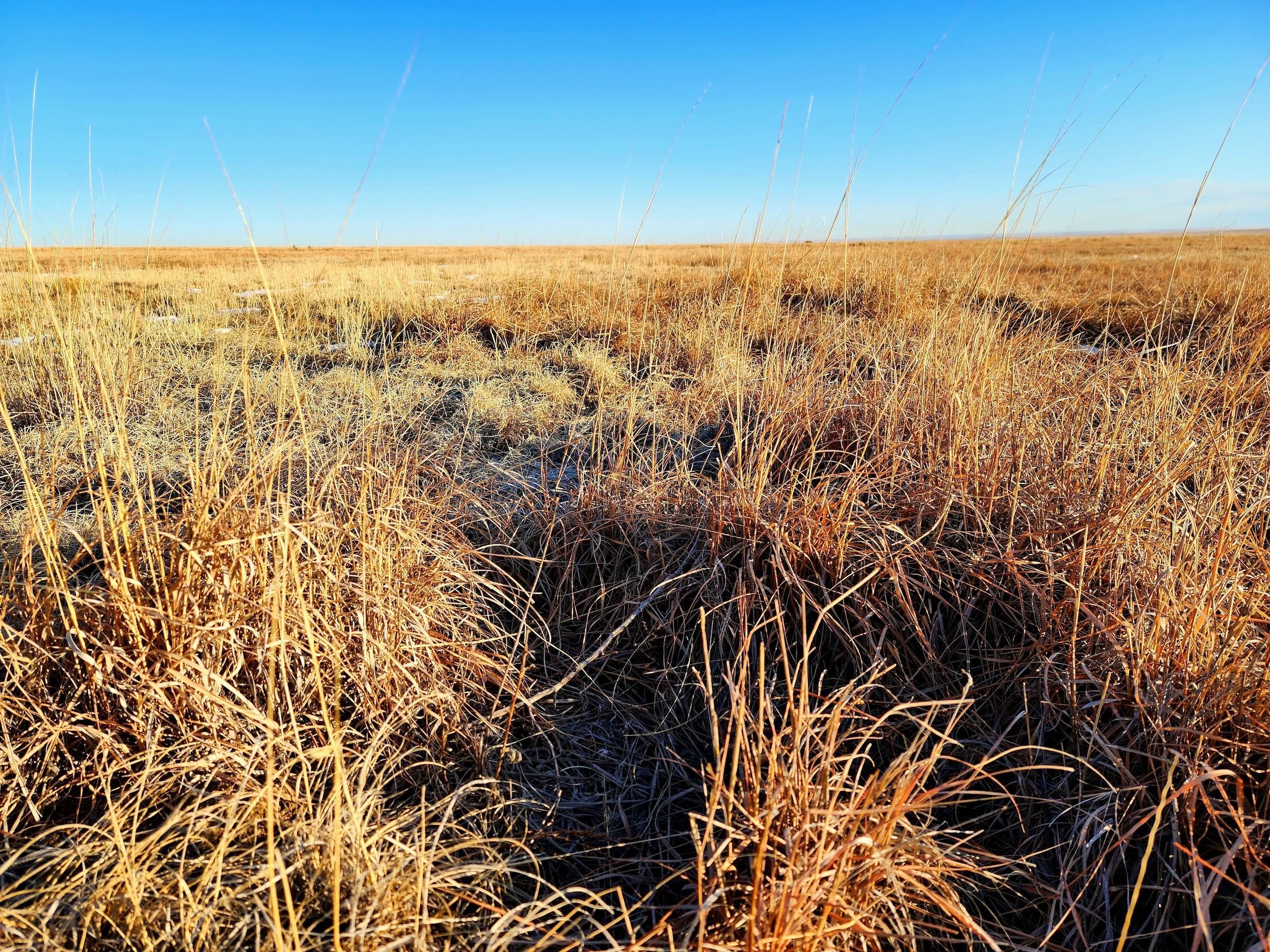 320 acres in Prowers County, Colorado